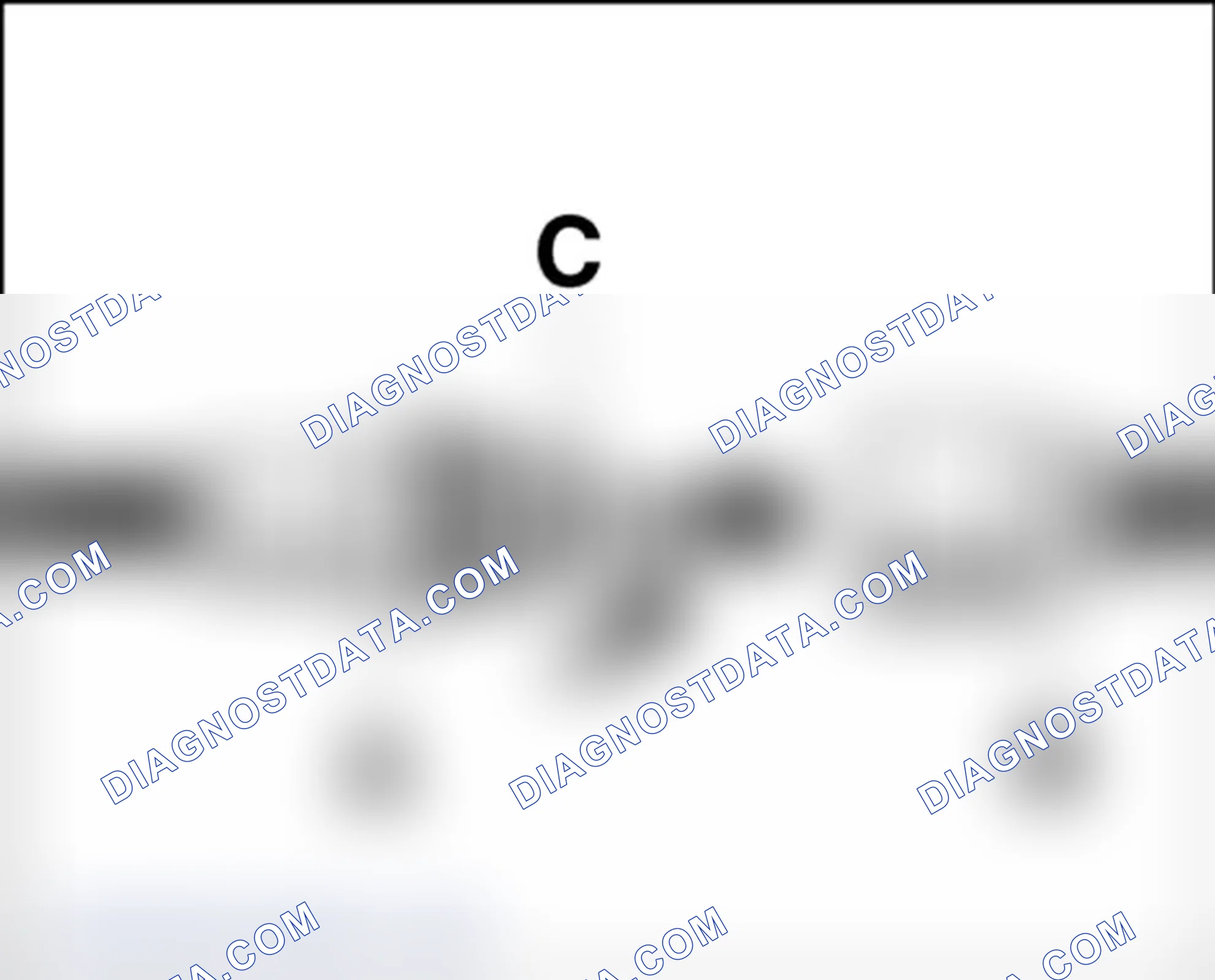 Scheme 123
