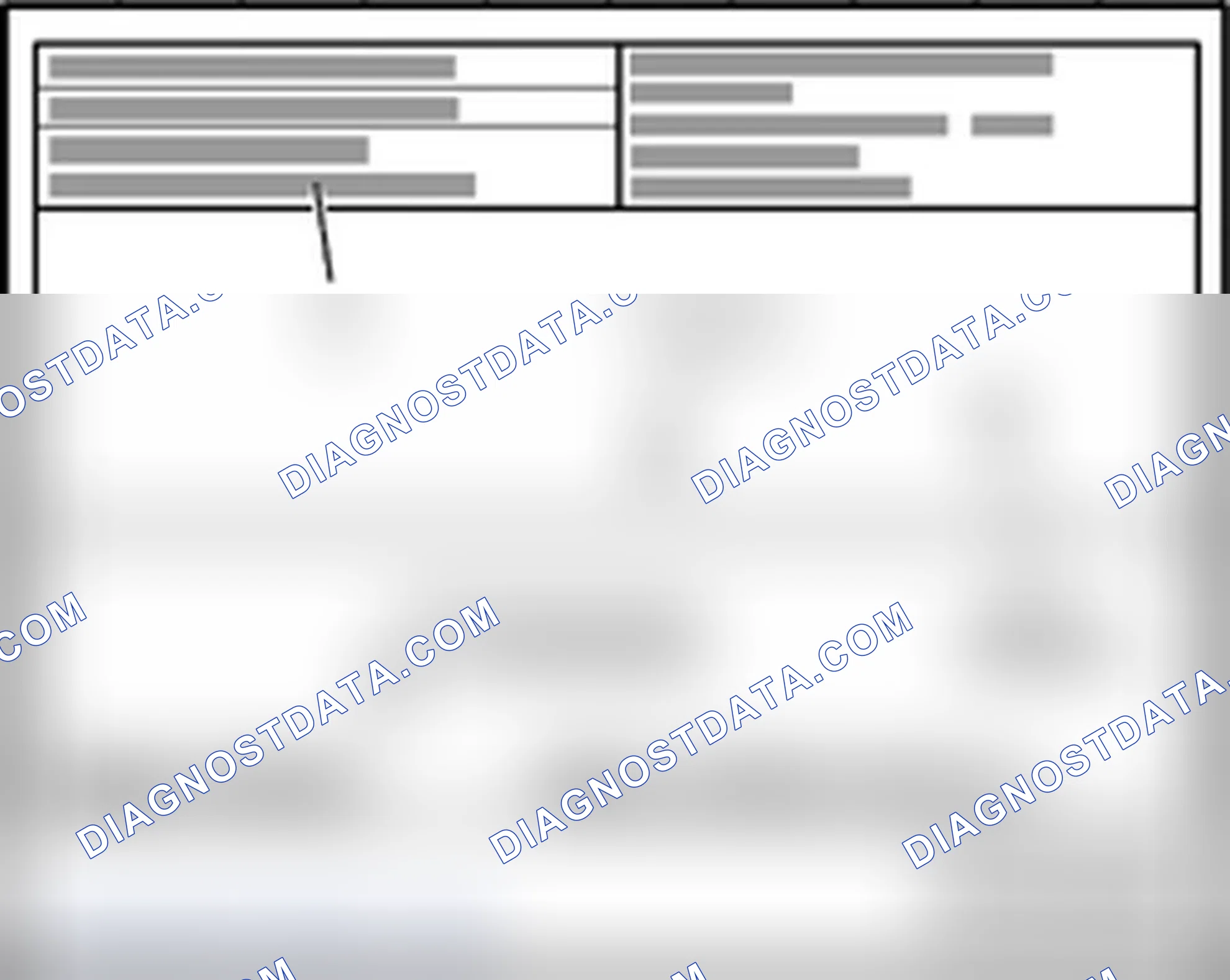 Scheme 487
