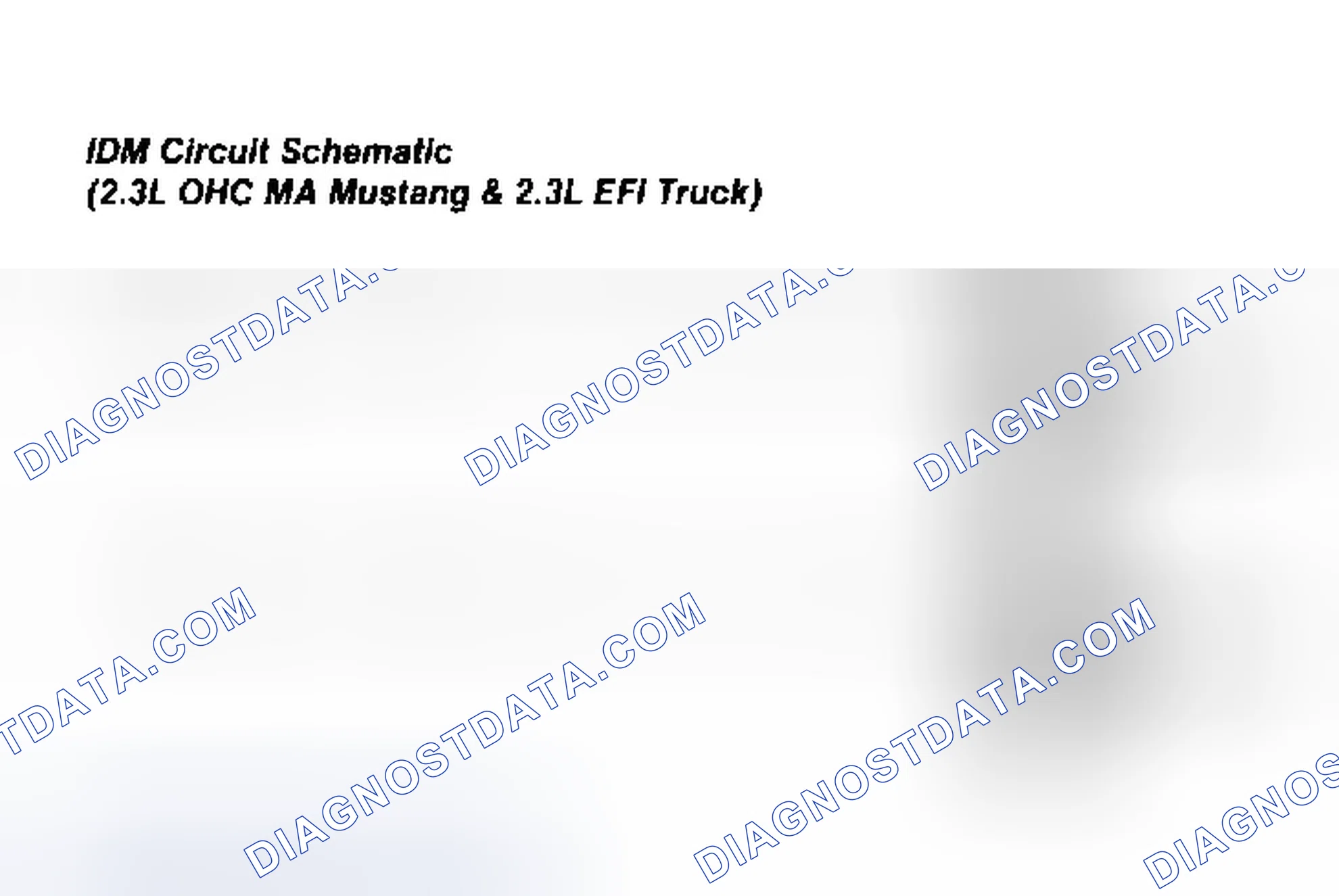 Scheme 100: IDM Circuit Schematic (Mustang 2.3L)