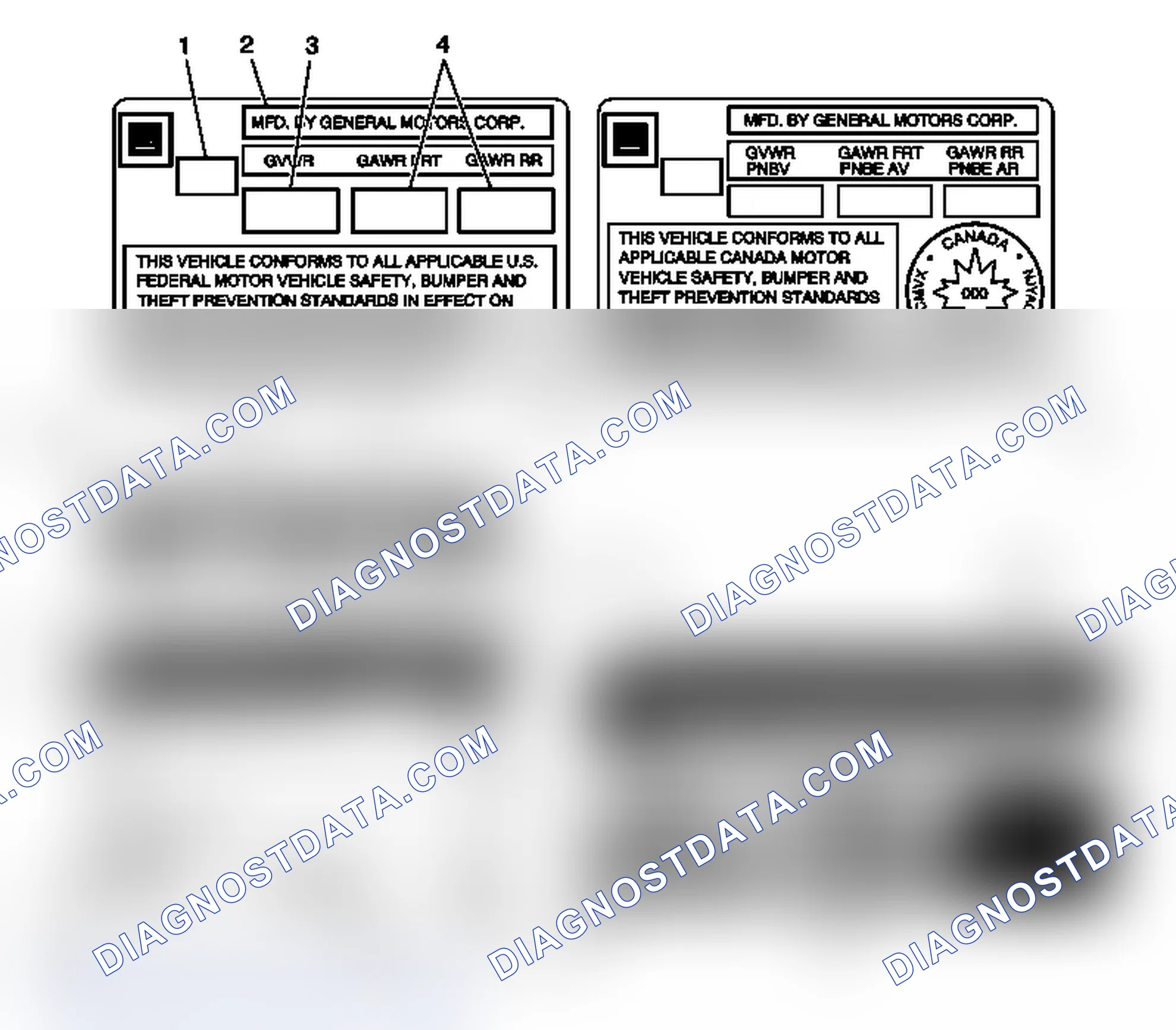 Scheme 3: Vehicle Certification, Tire Placard, Anti-Theft, and Service Parts ID Label