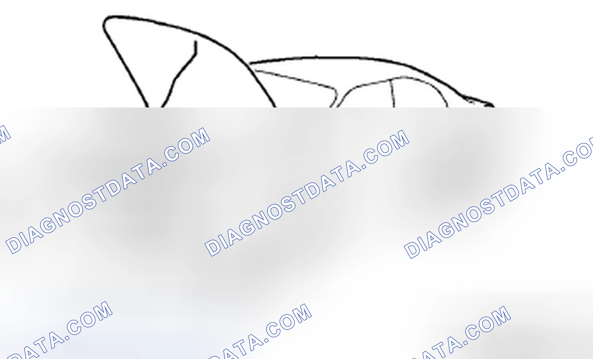 Scheme 30: Protection of the Vehicle
