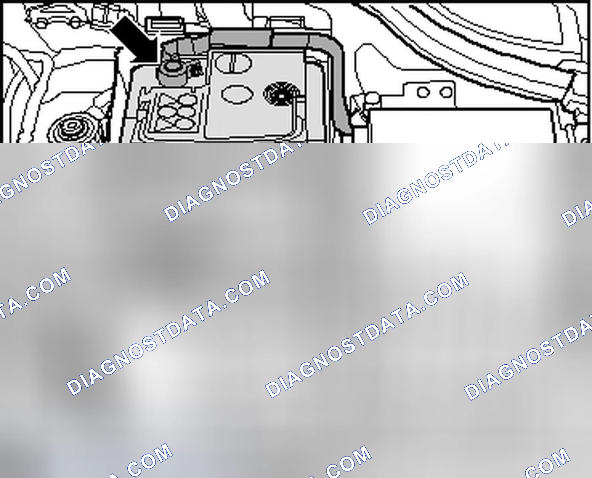 Scheme 338