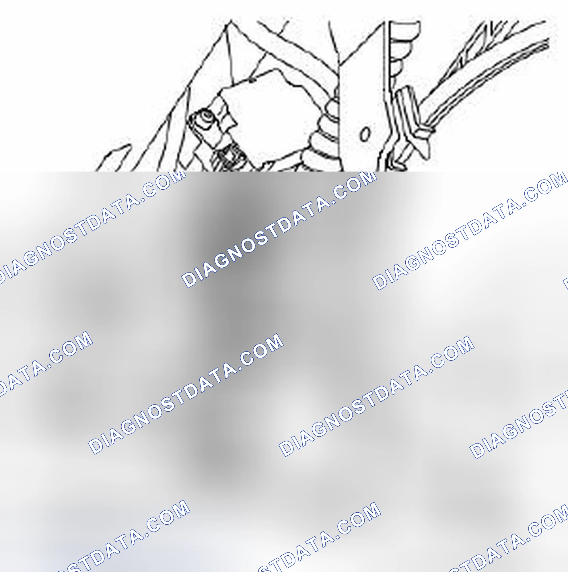 Scheme 505: To remove