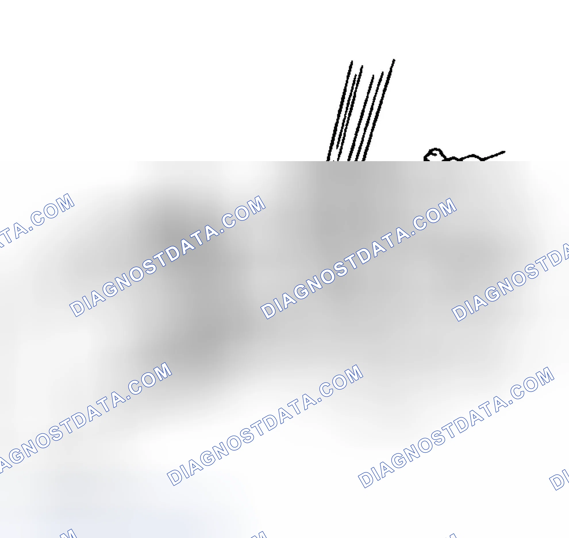 Scheme 211: Miata (Stopper Pin Inspection)
