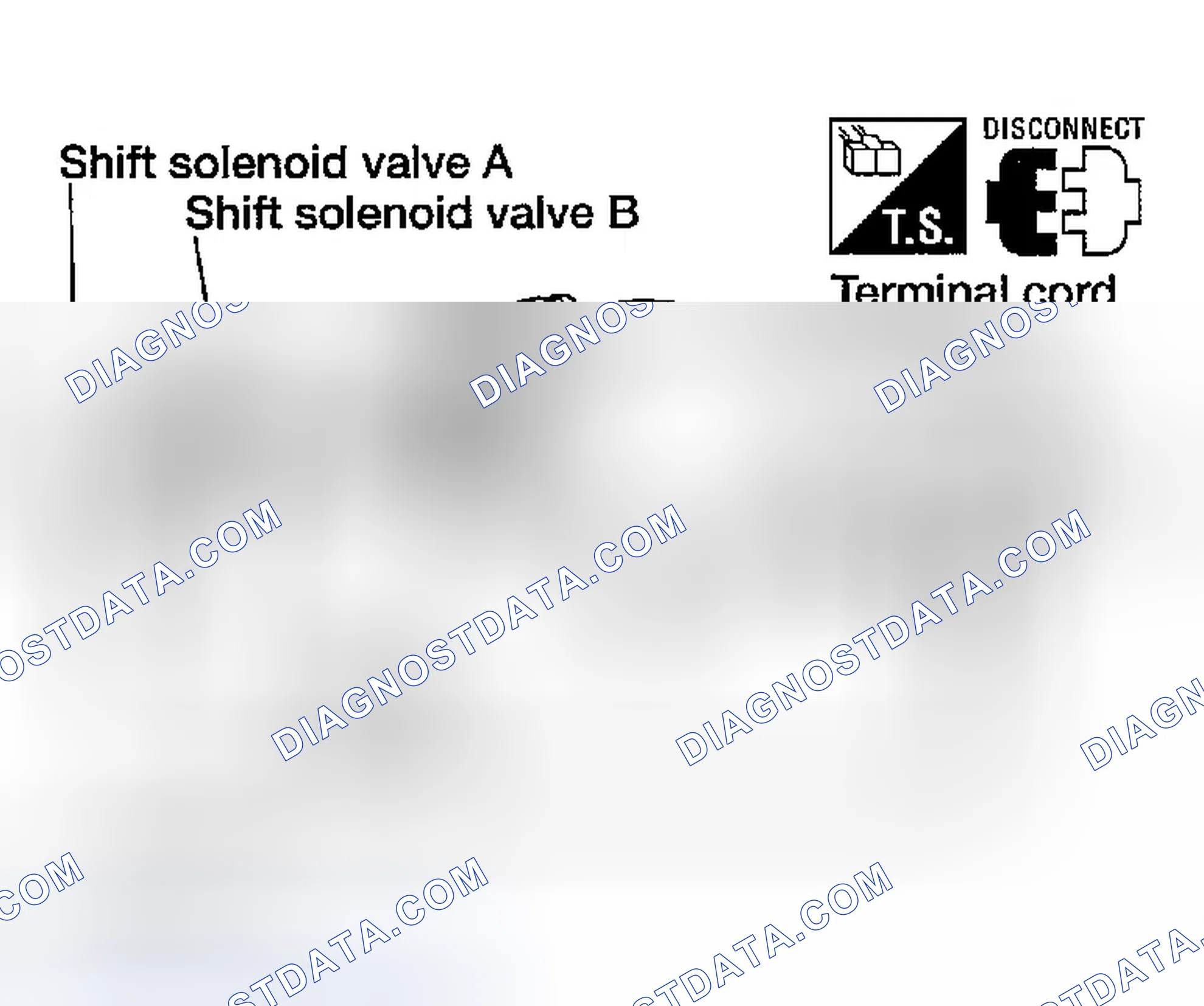Scheme 557