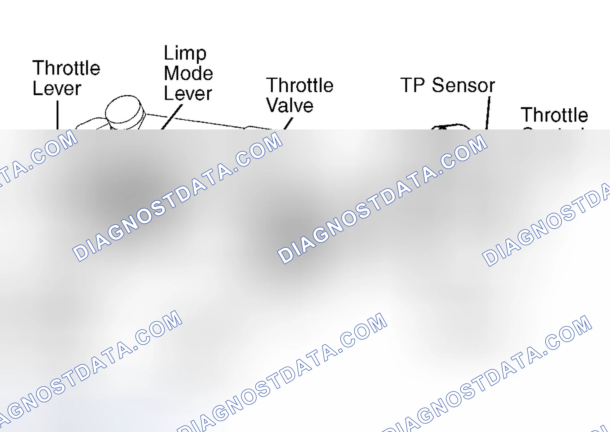 Scheme 175: Land Cruiser & Tundra 4.7L V8