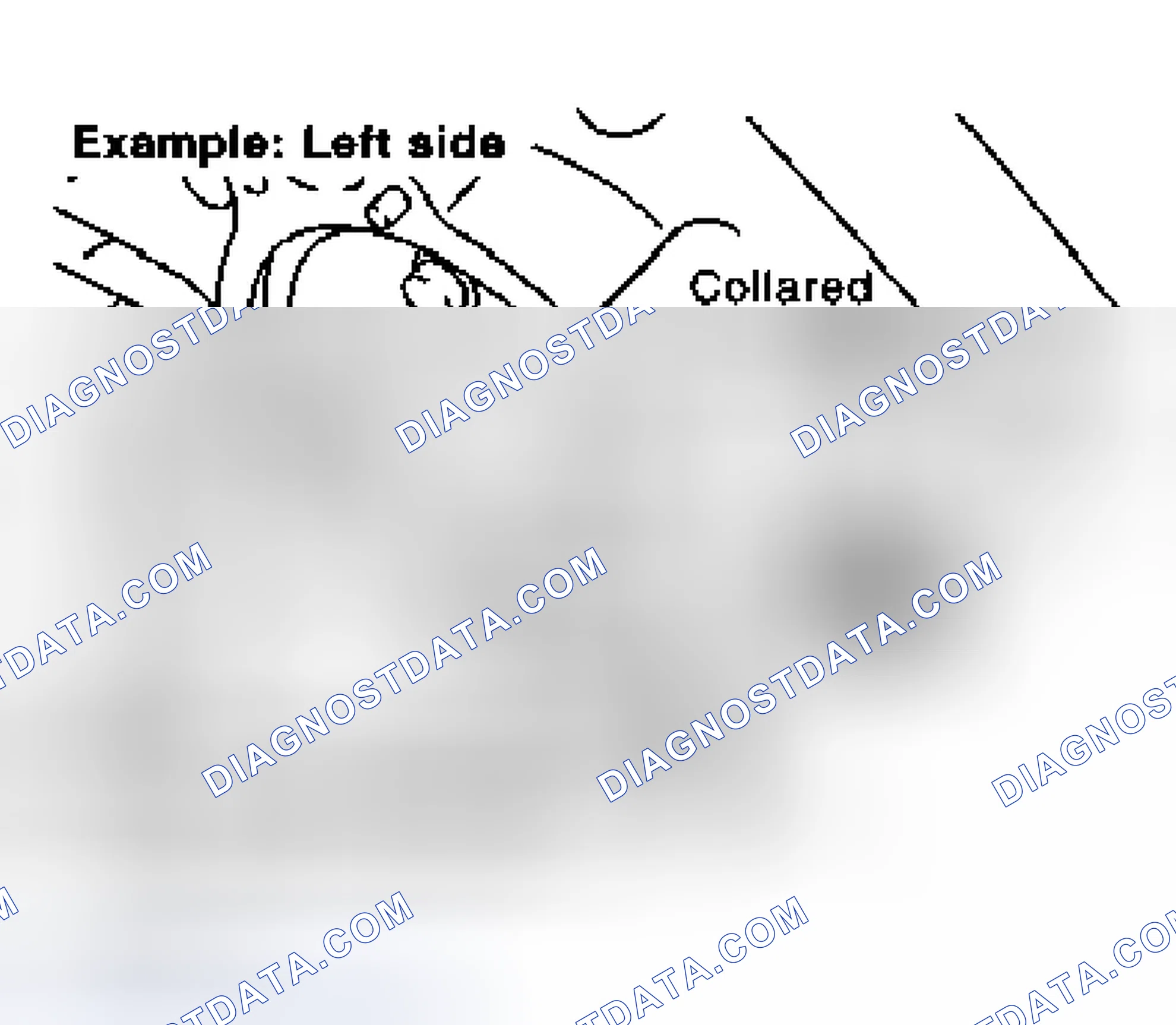 Scheme 152