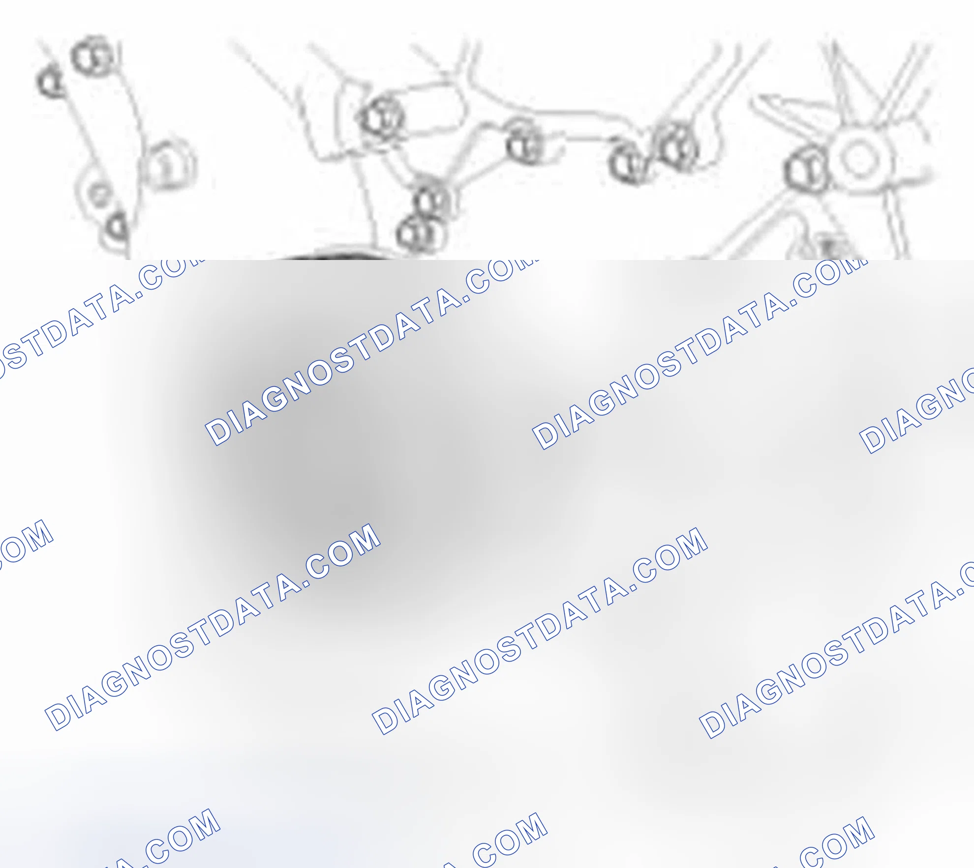 Scheme 121
