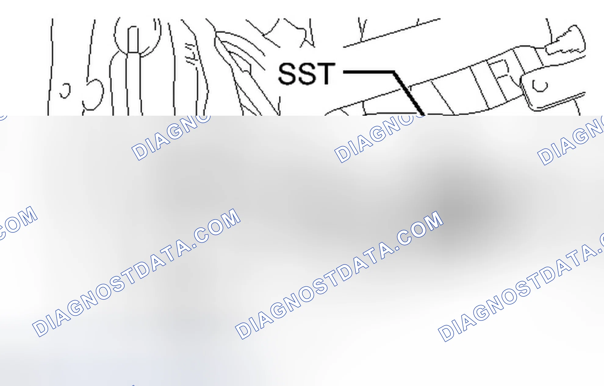 Scheme 345