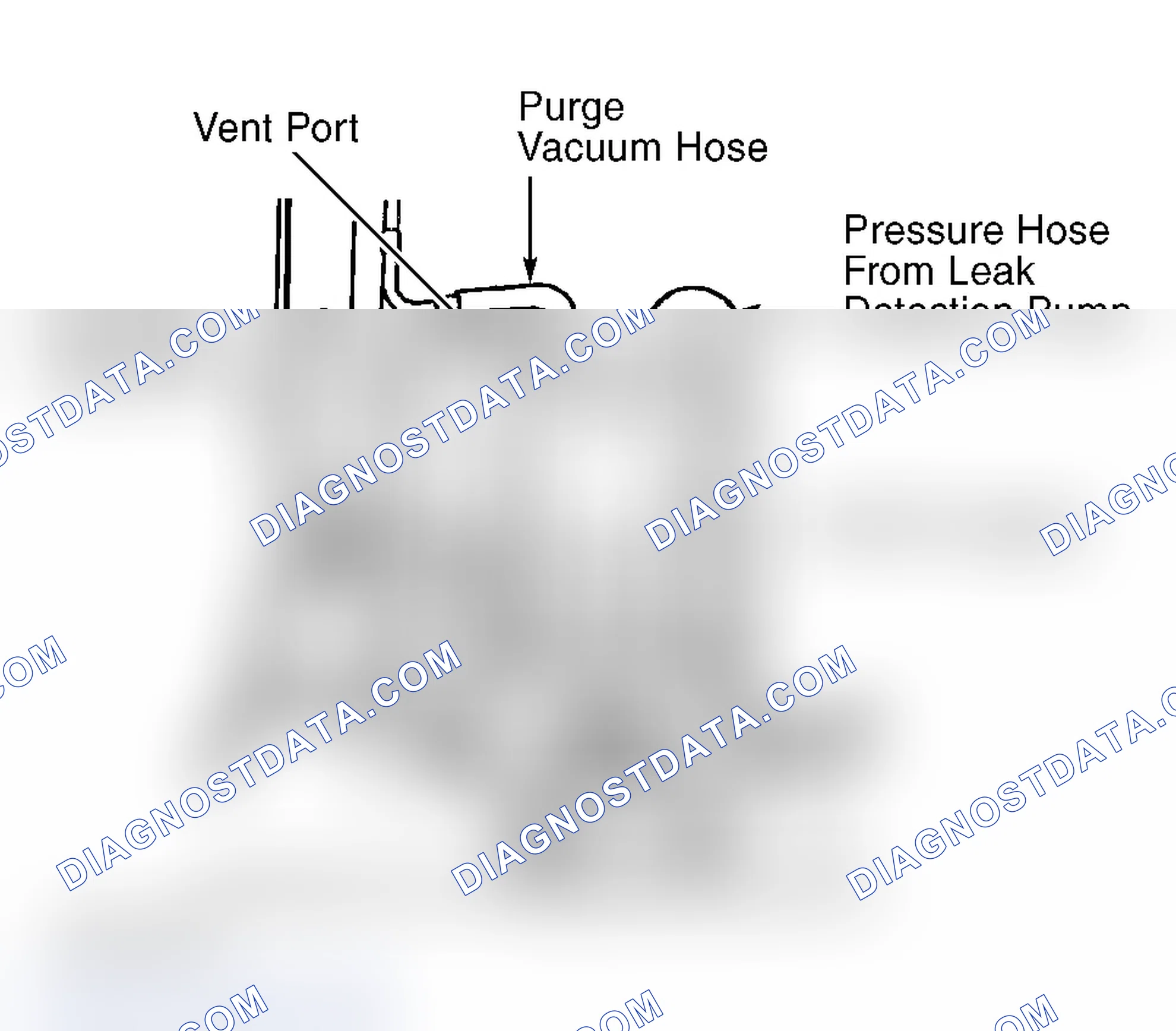 Scheme 29: EVAPORATIVE (EVAP) EMISSIONS SYSTEM