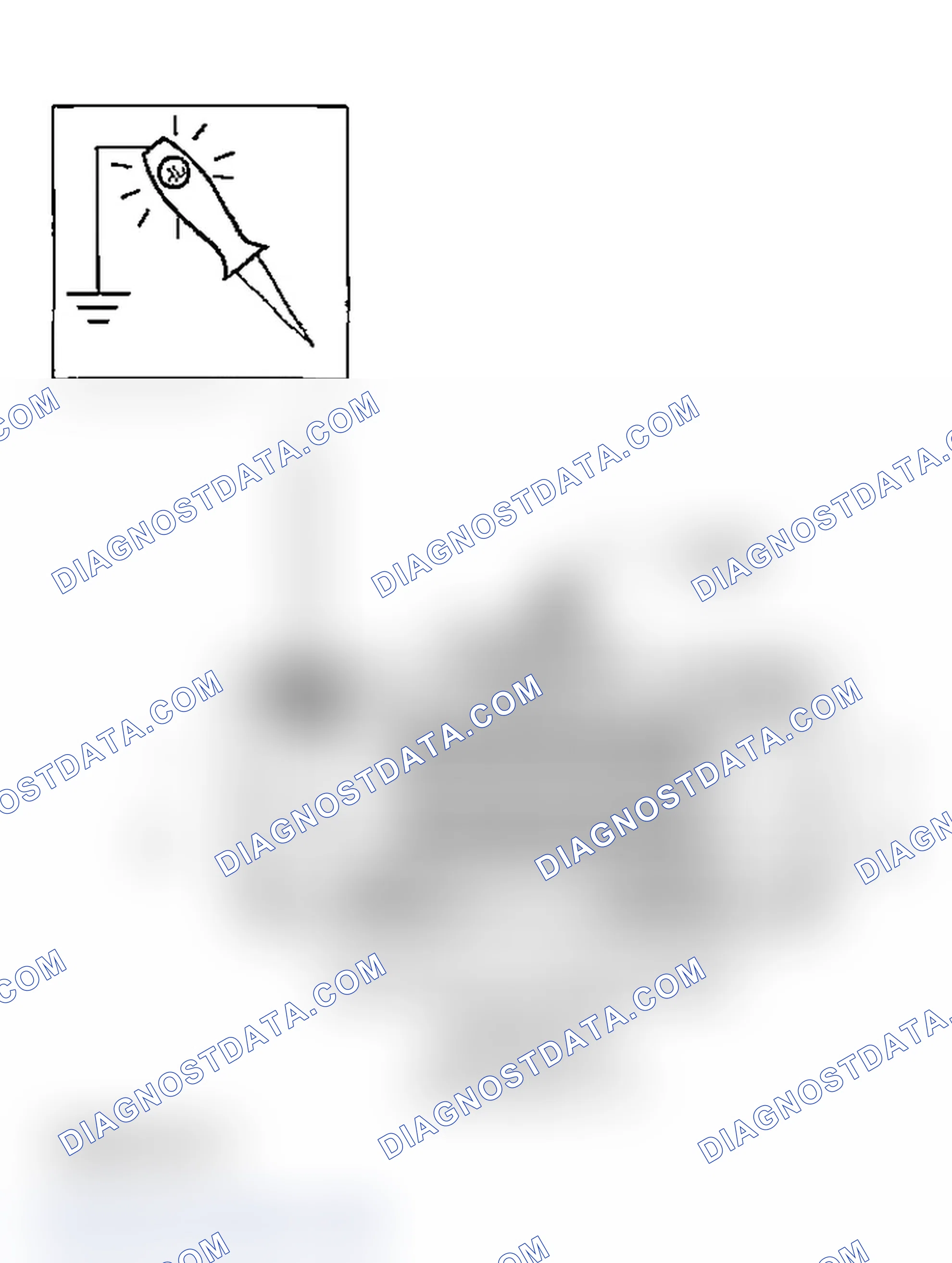 Scheme 83: Diagnostic Test