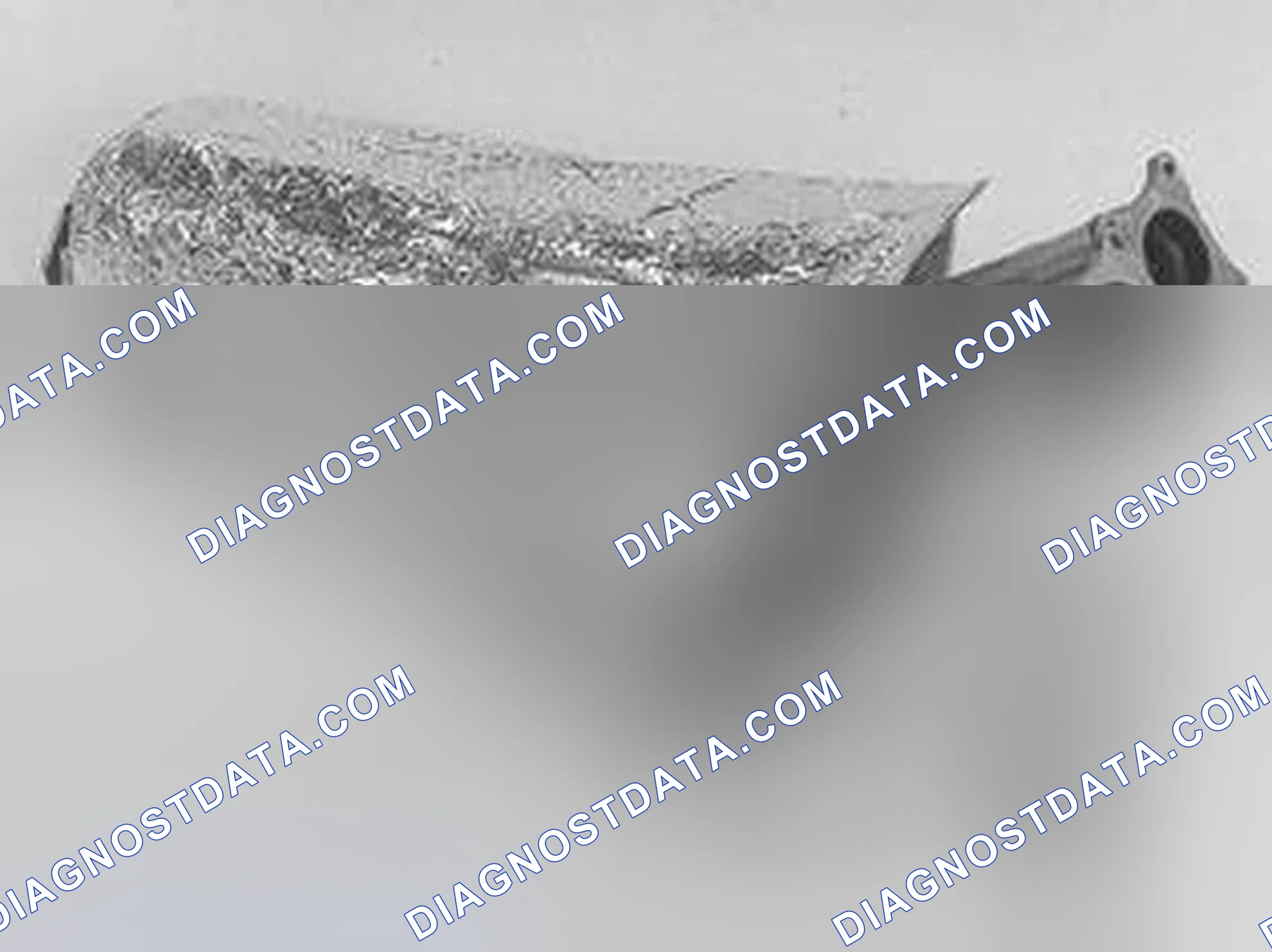 Scheme 9: Transferring Components When Replacing Catalytic Converters