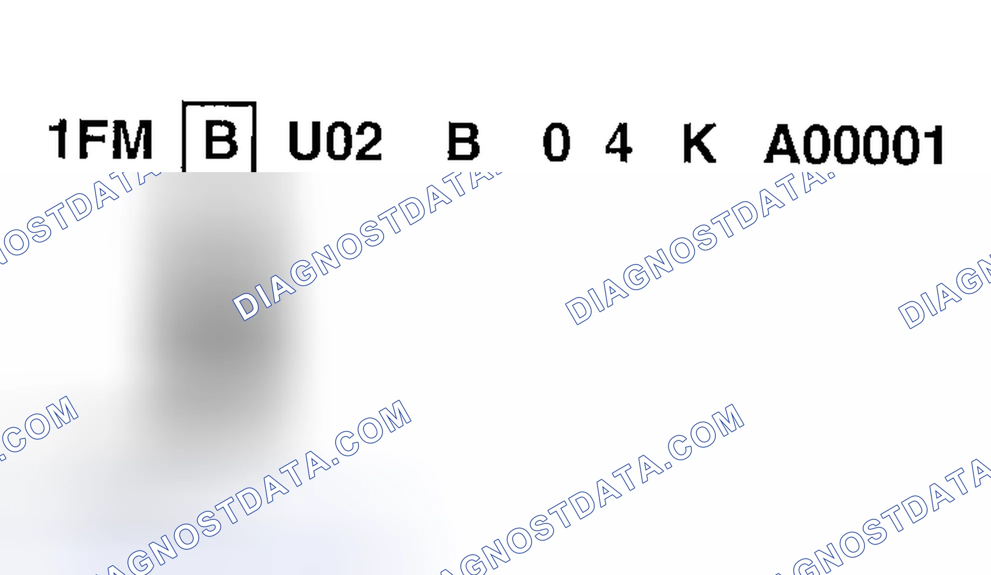 Scheme 5: Brakes System, GVWR, Restraint Type Code