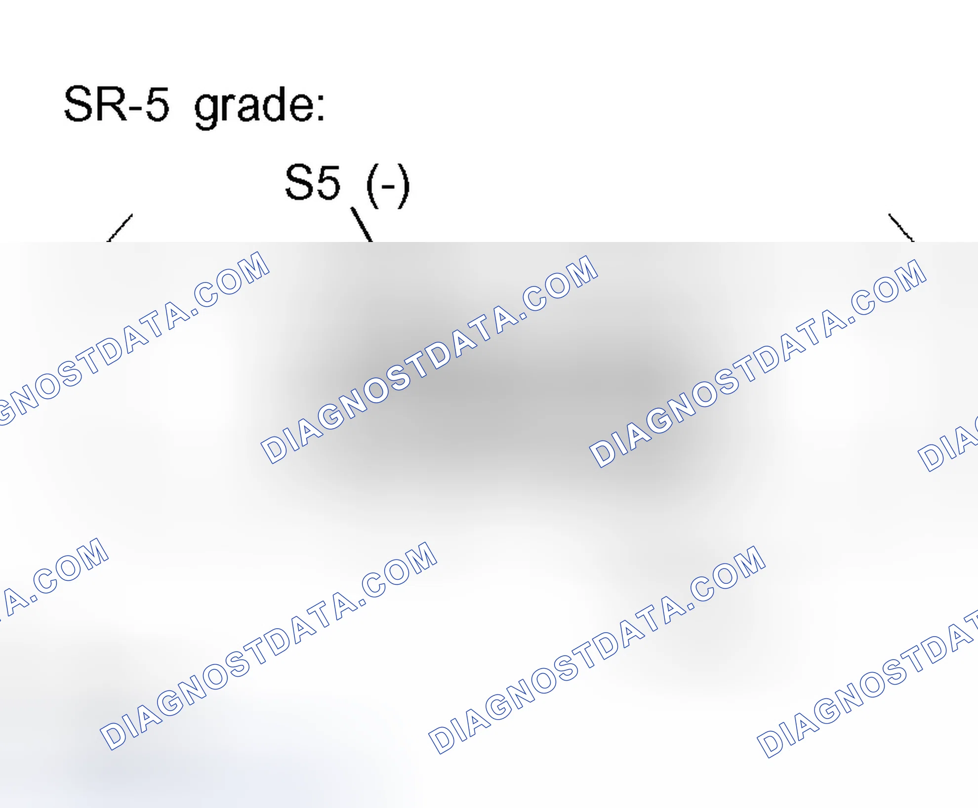 Scheme 57: INSPECTION PROCEDURE