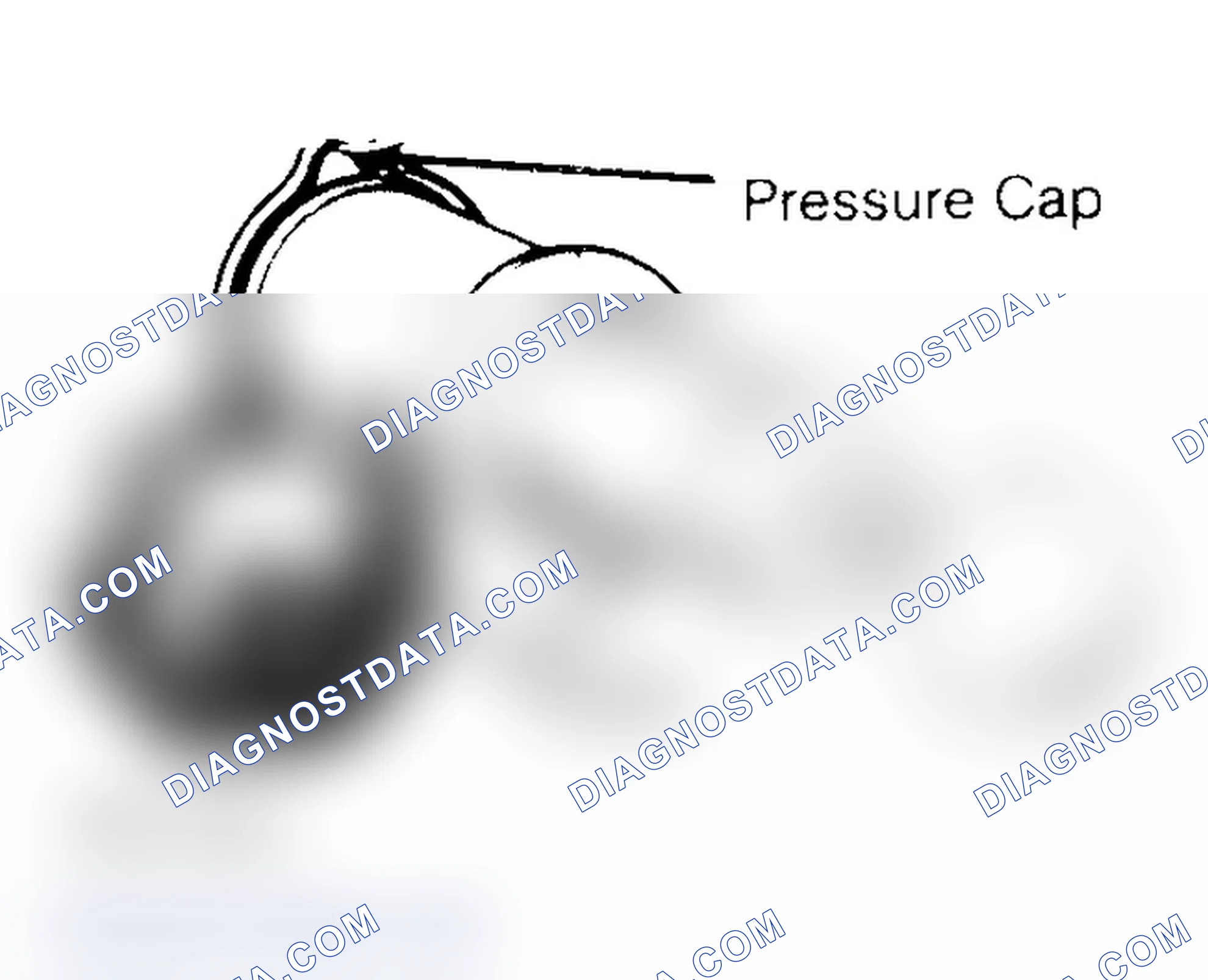 Scheme 2: Pressure Testing Radiator Cap