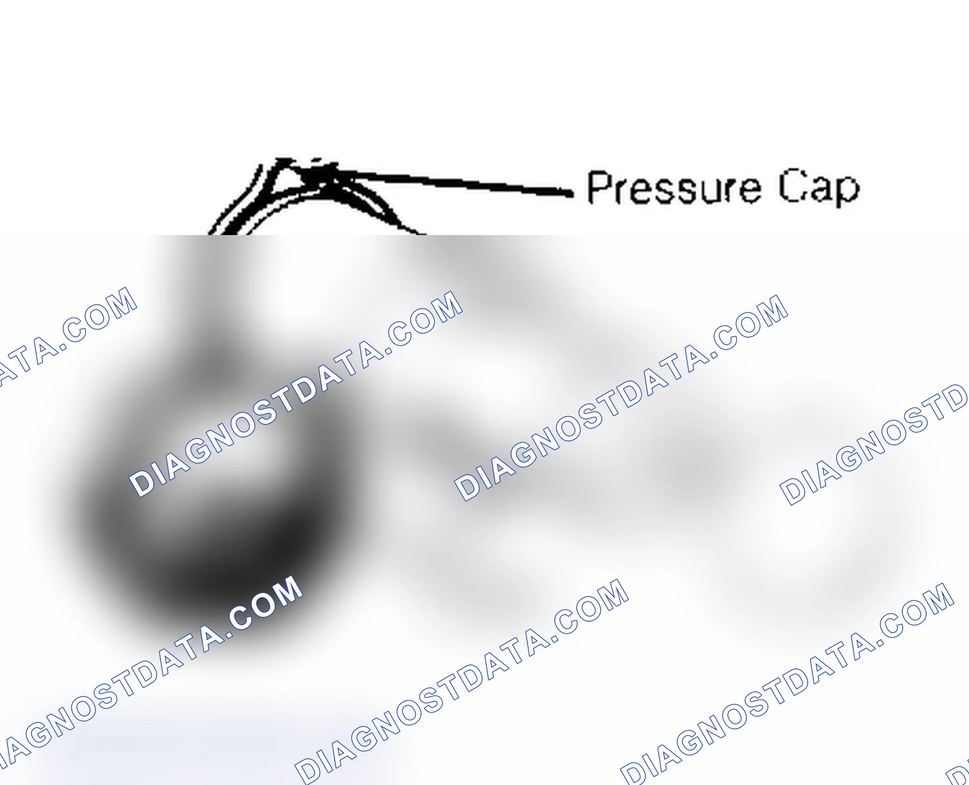 Scheme 2: RADIATOR CAP