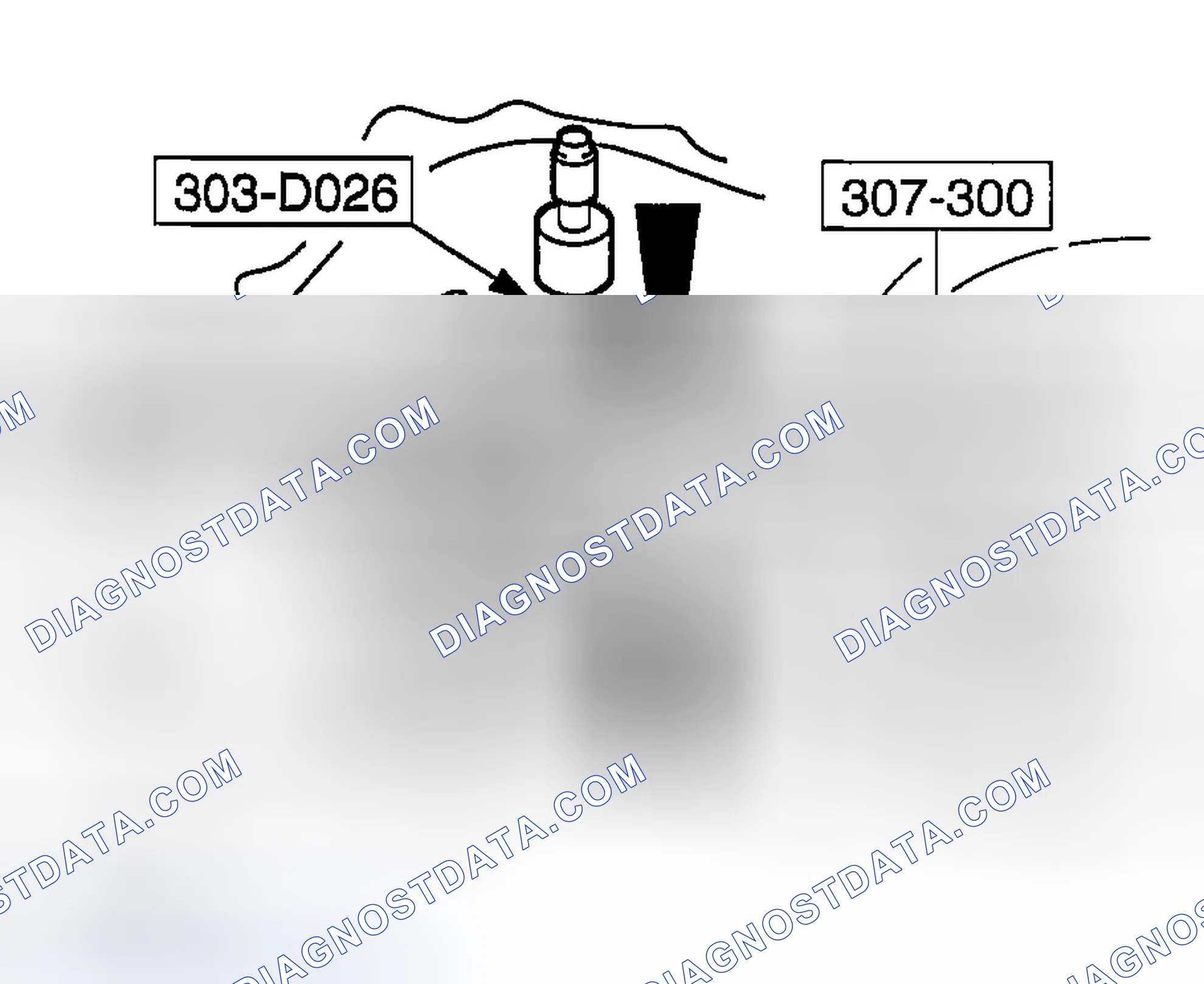 Scheme 338