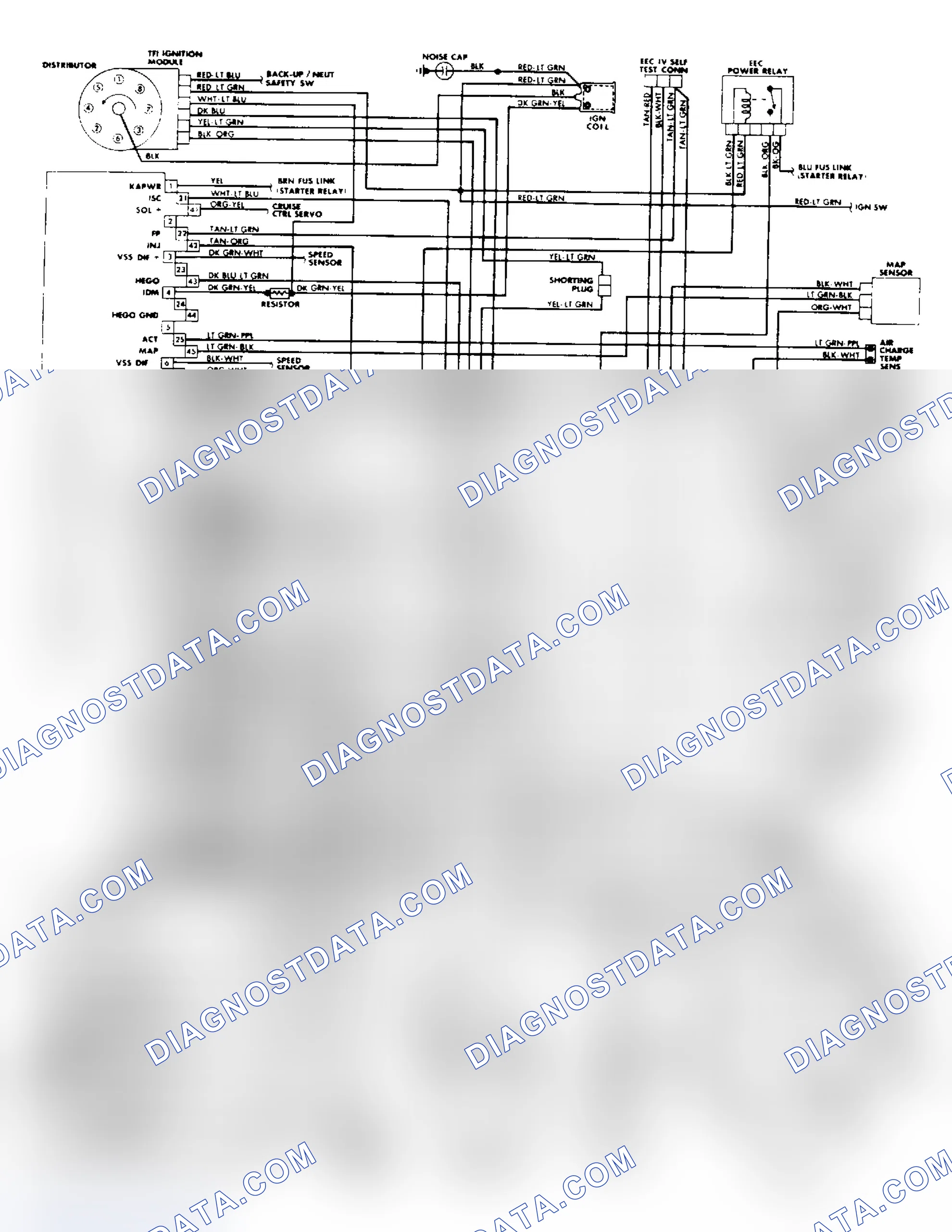 Scheme 21: 5.0L SEFI EEC-IV Wiring Diagram (Town Car)