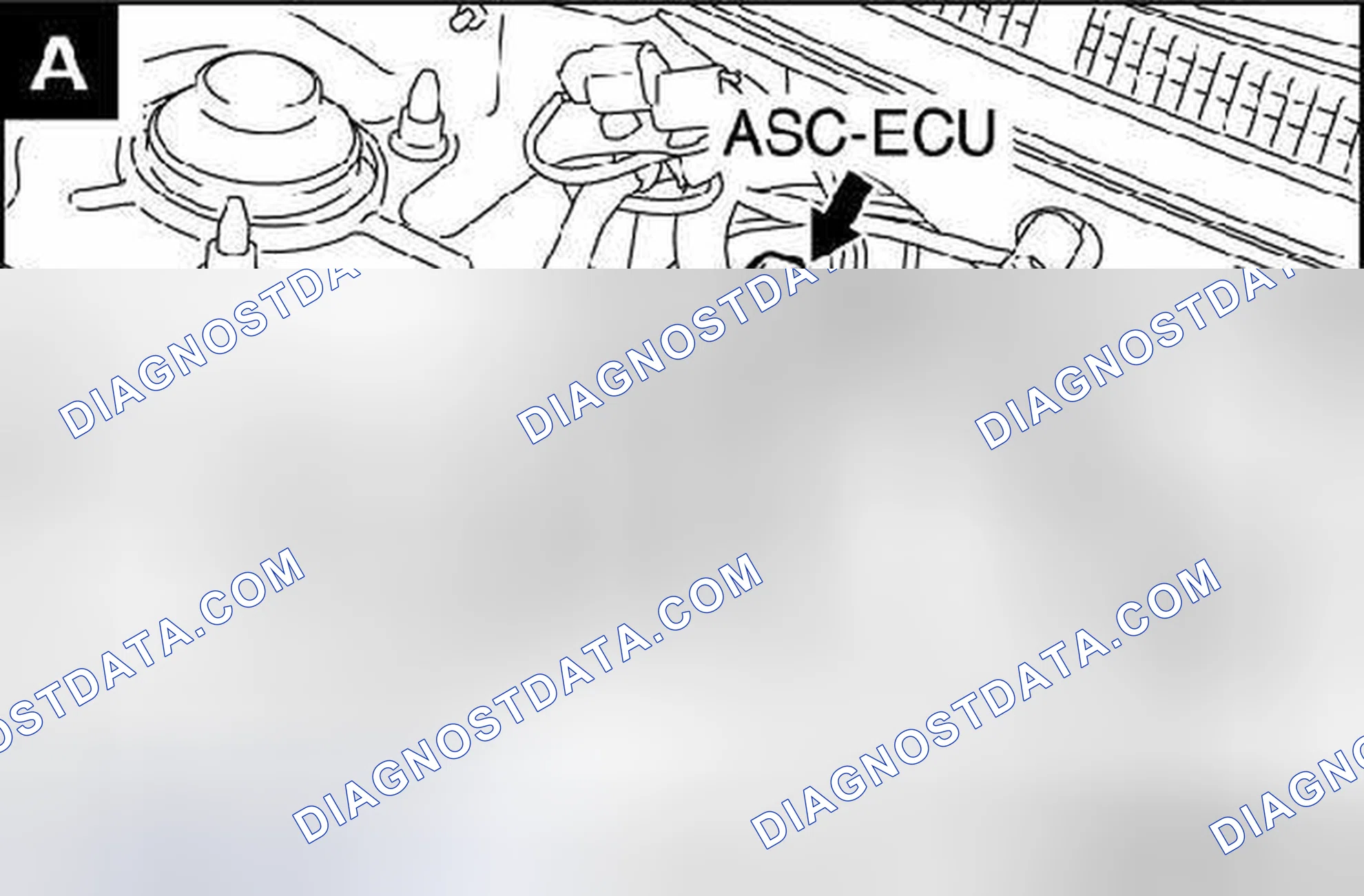 Scheme 1: COMPONENT LOCATION GRAPHICS
