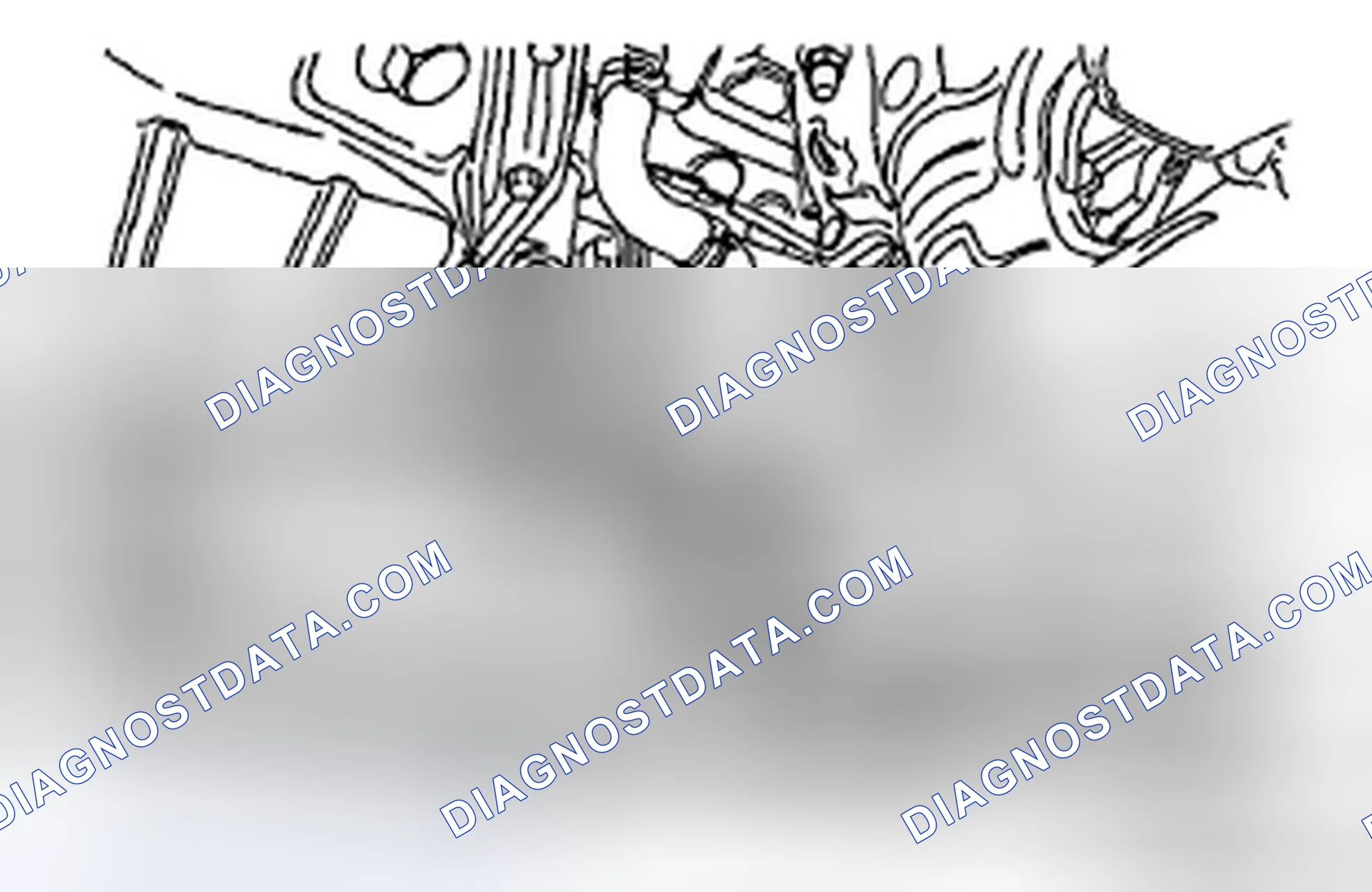 Scheme 46: DRAINING OF ENGINE COOLANT