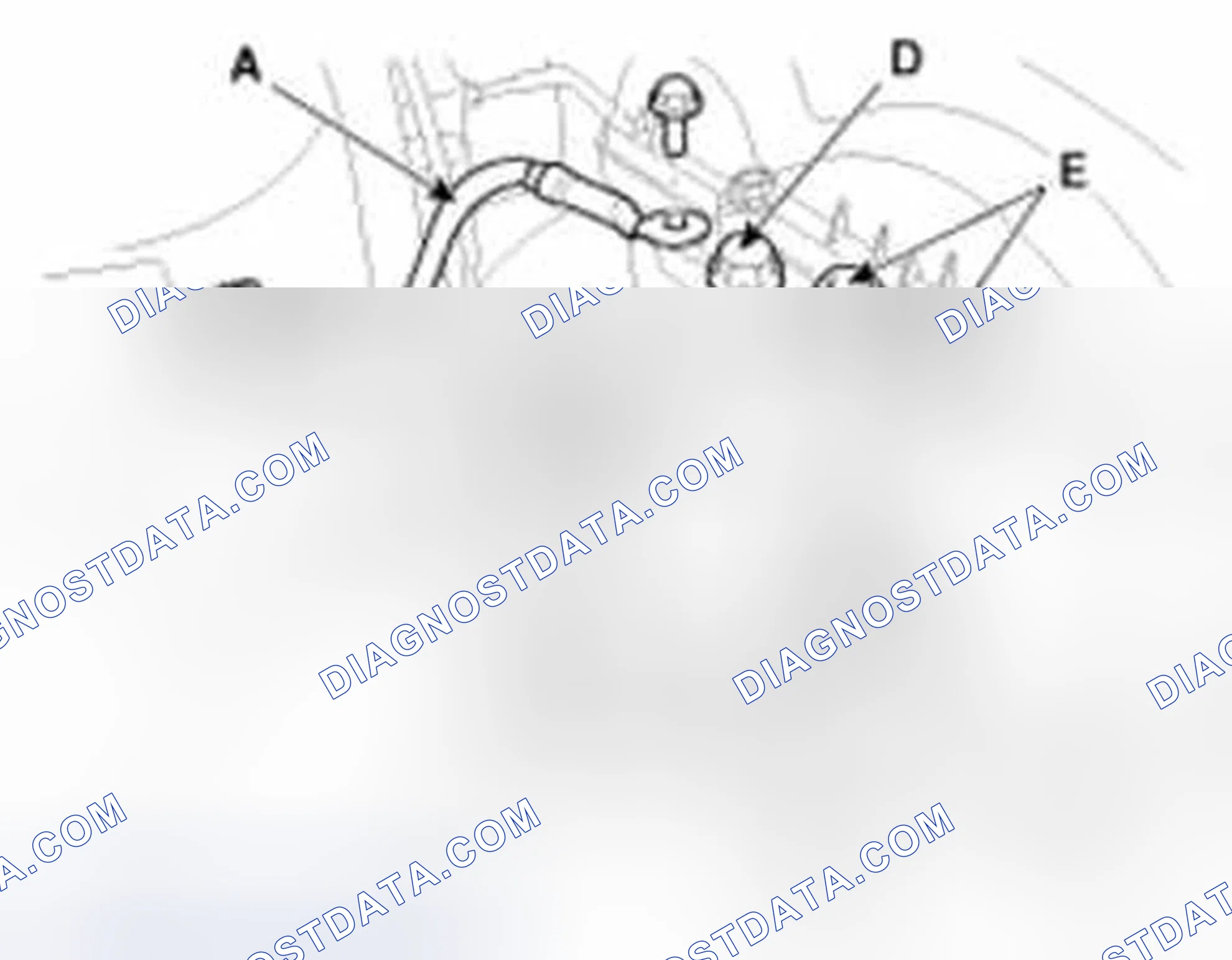 Scheme 106