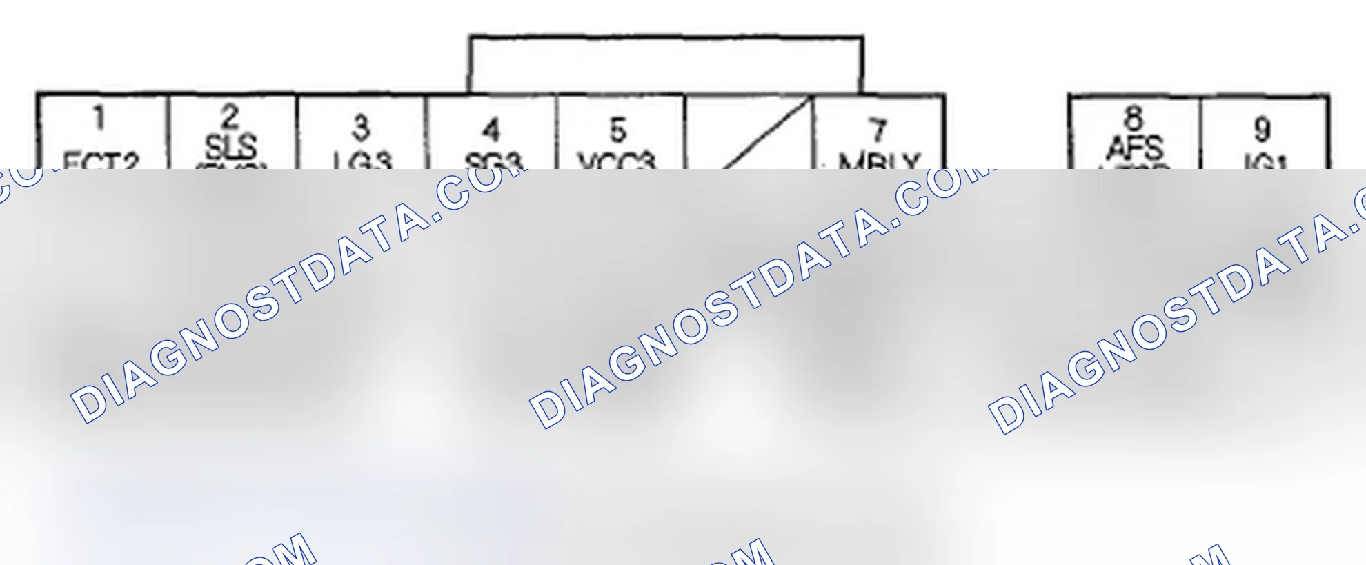 Scheme 19: ECM/PCM Inputs and Outputs at Connector E (31P)