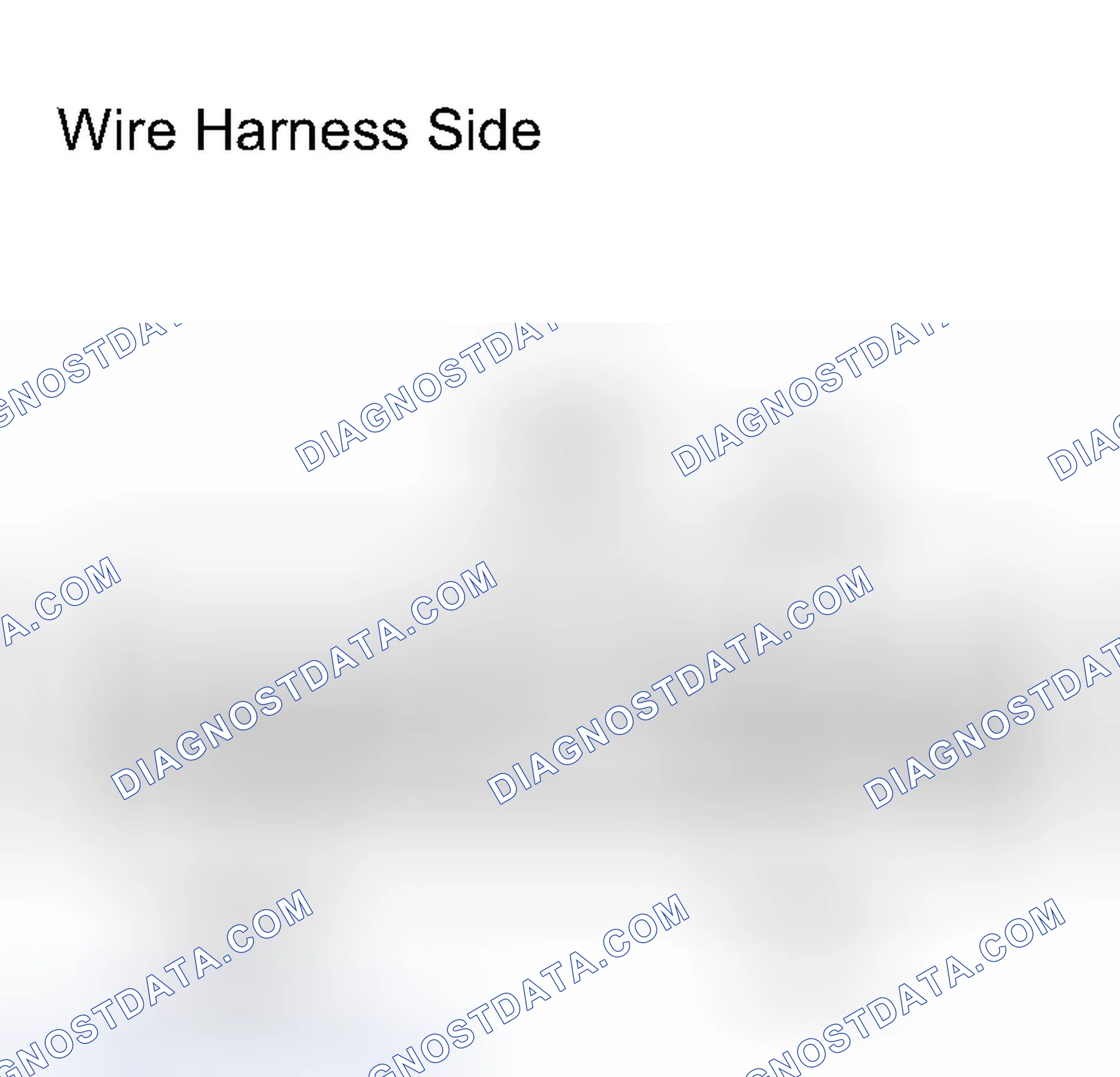 Scheme 88: INSPECTION PROCEDURE