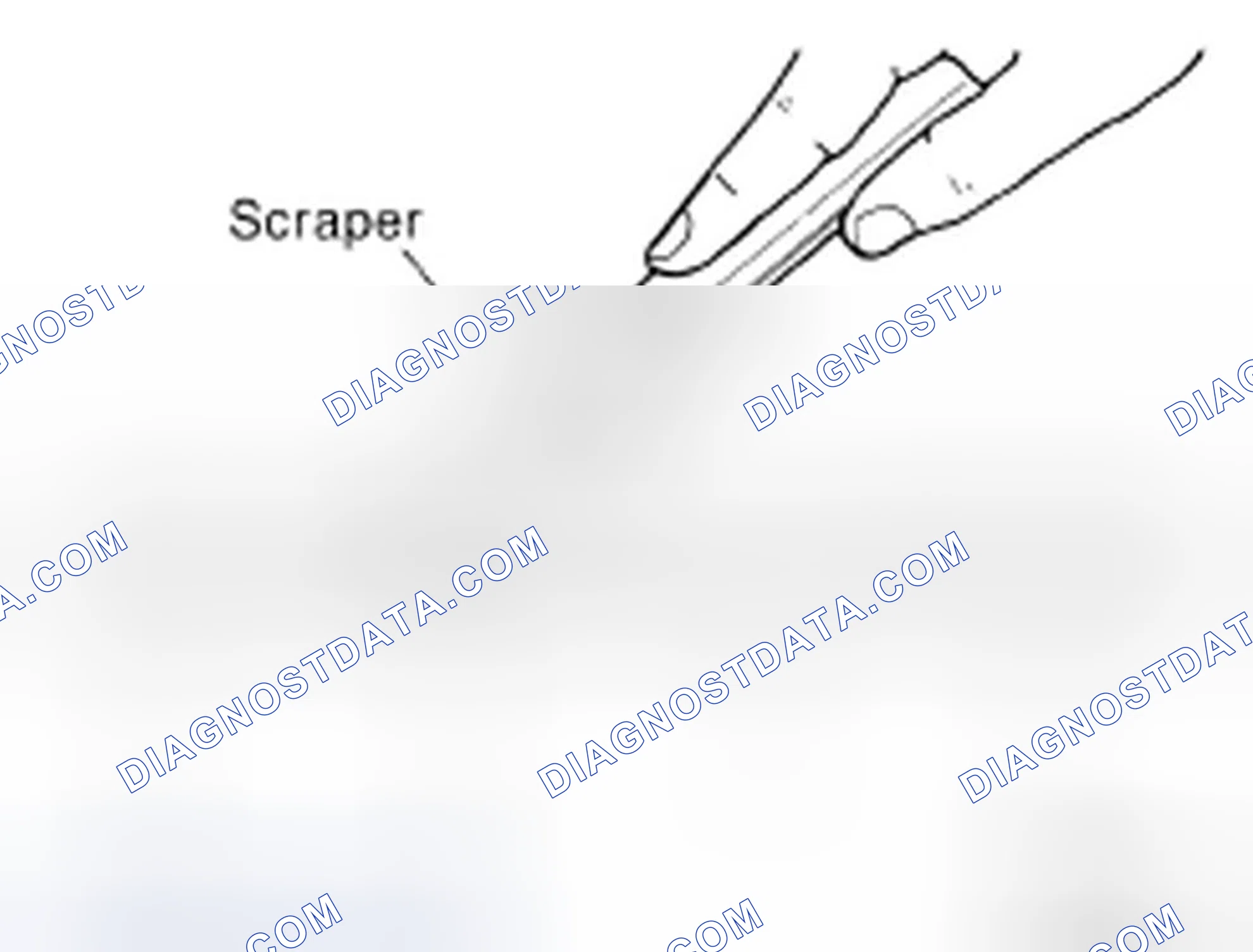 Scheme 2: LIQUID GASKET APPLICATION PROCEDURE