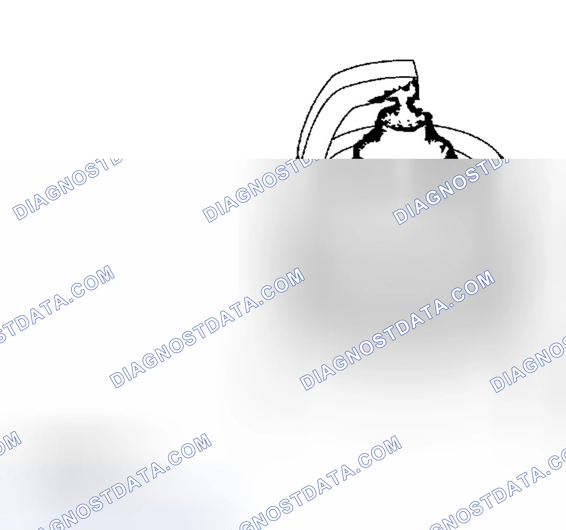Scheme 919: Spark Plug Inspection