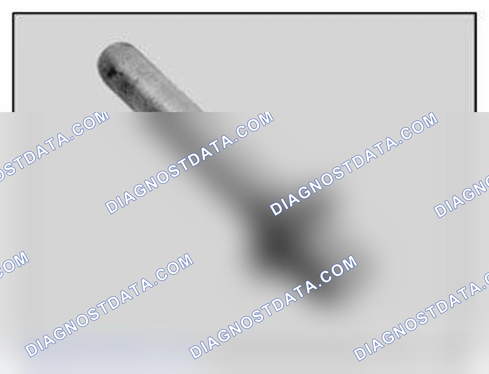 Scheme 132: 11-7410 Screw
