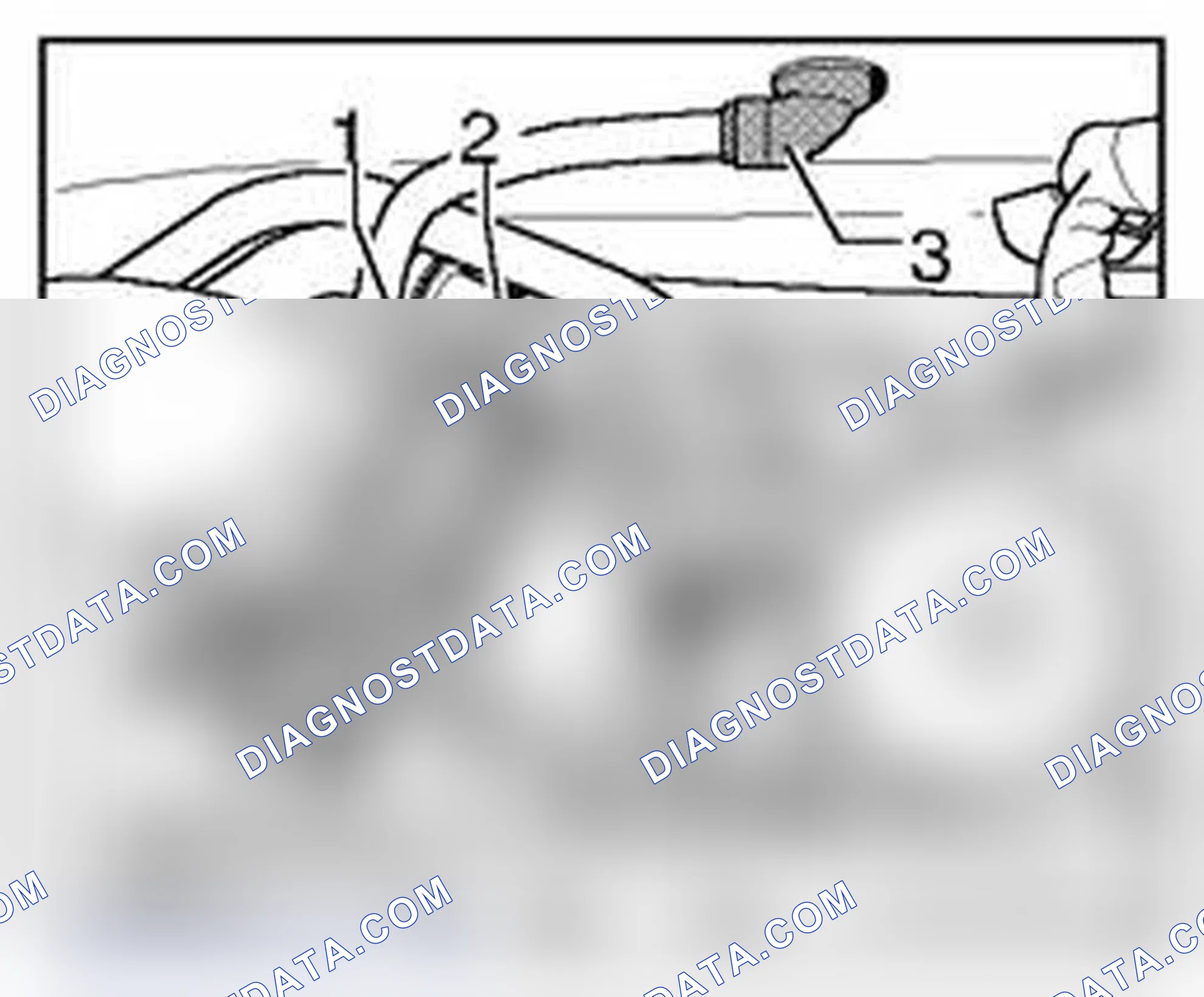 Scheme 509
