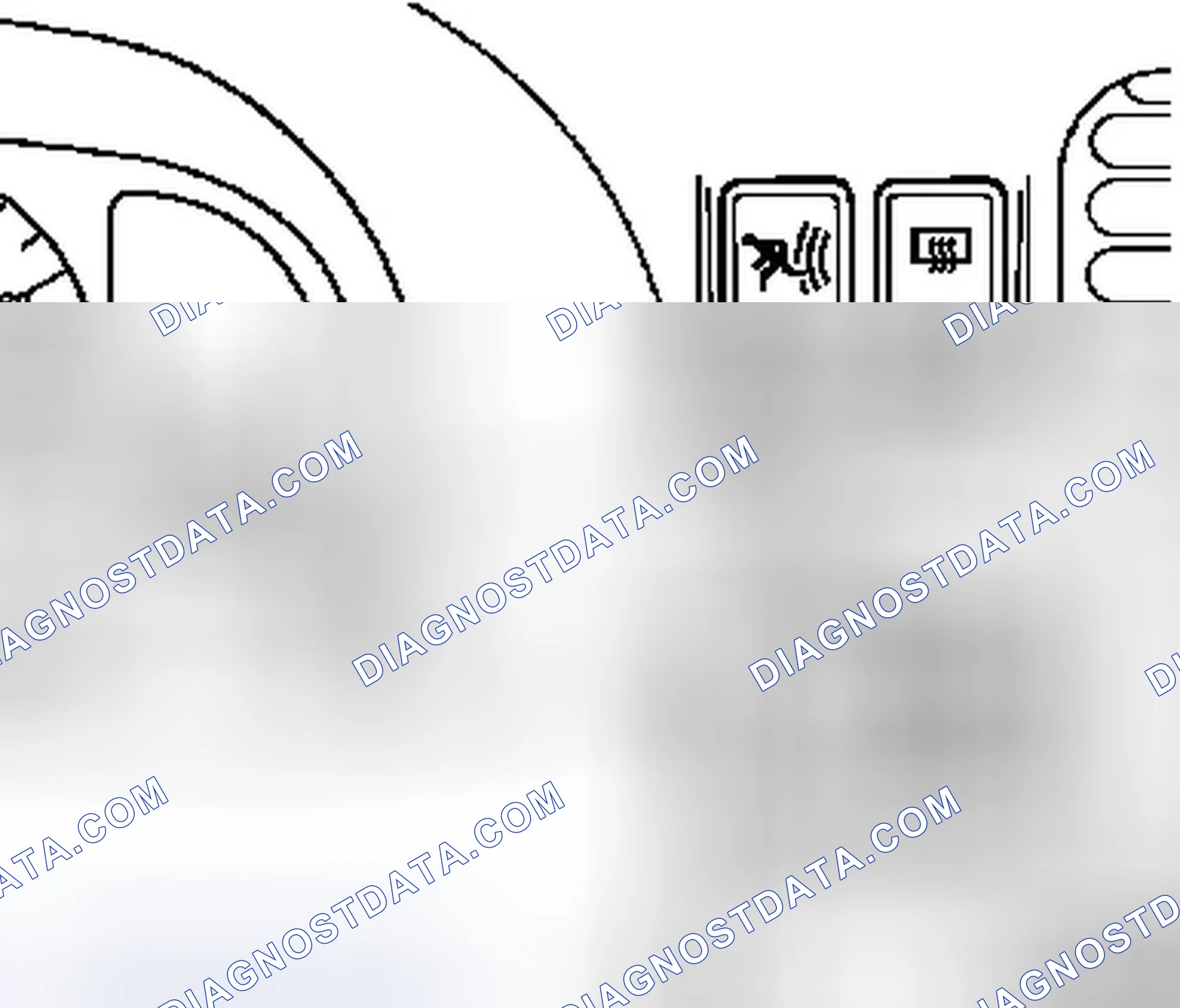 Multi-Info-Display (MID)