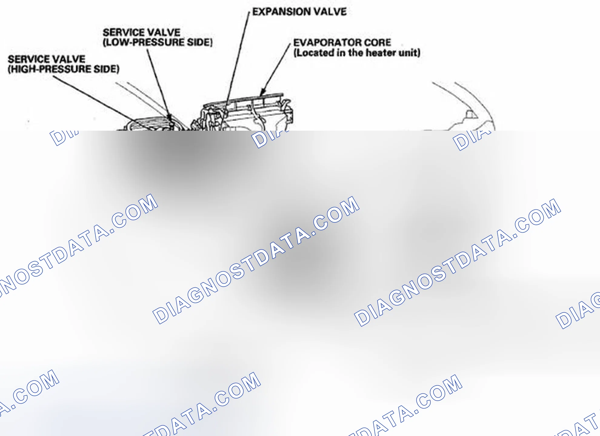 Scheme 3
