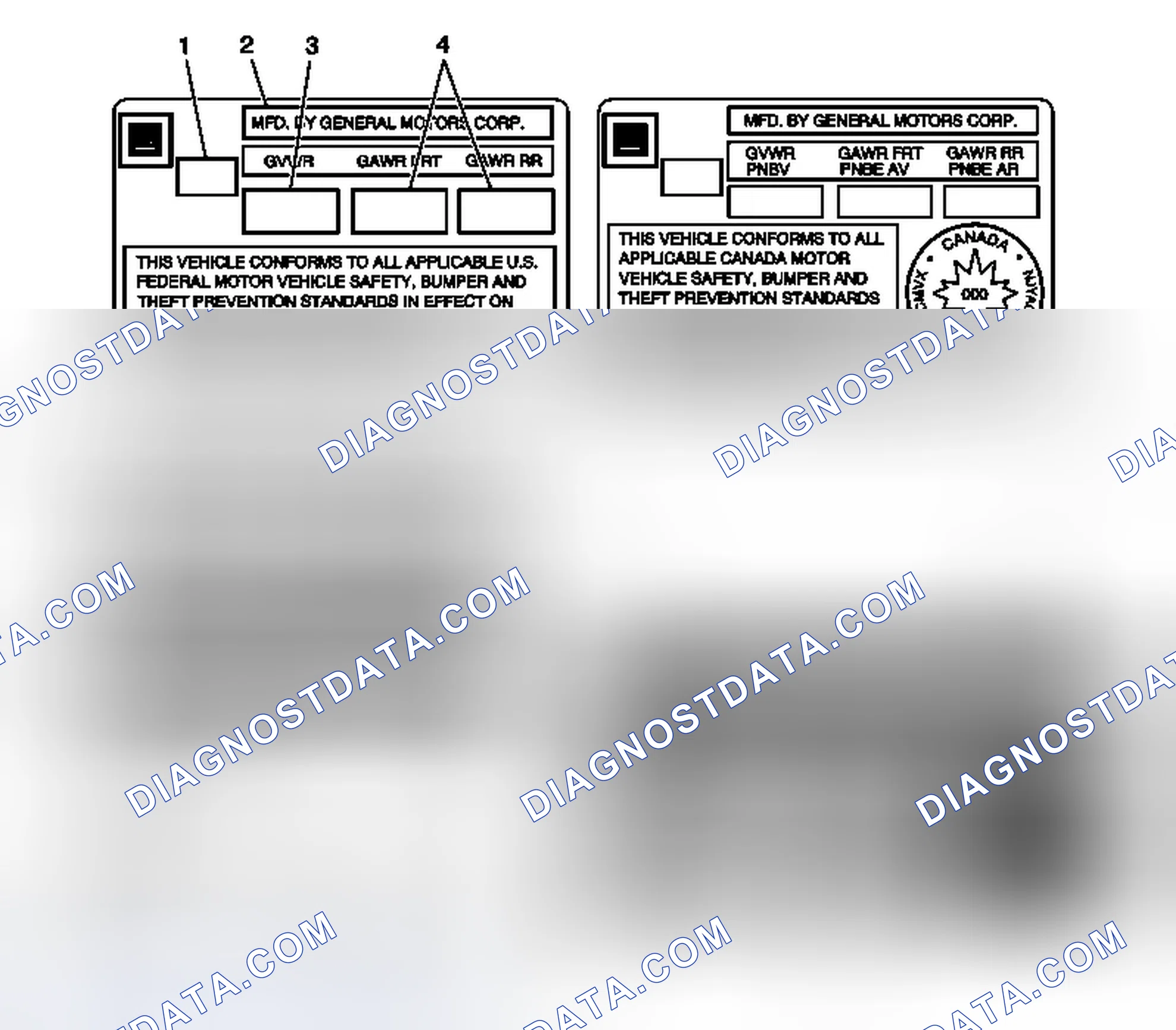 Scheme 8: Vehicle Certification, Tire Placard, Anti-Theft, and Service Parts ID Label