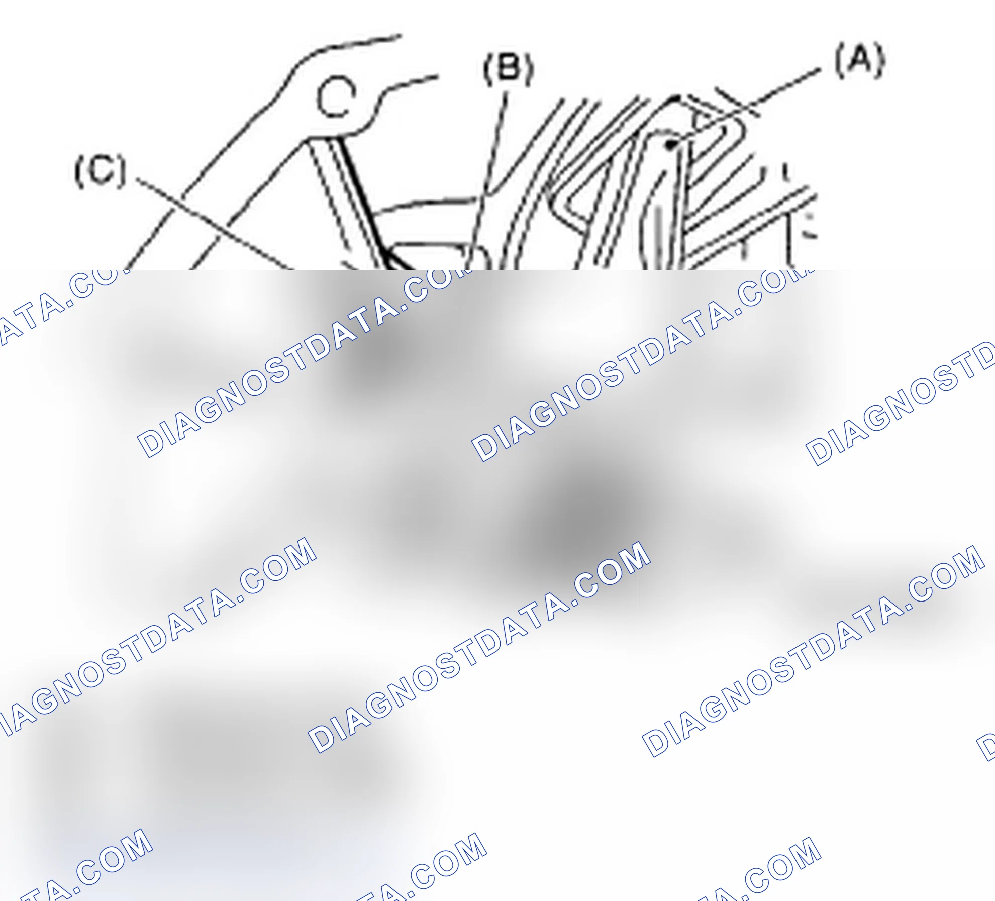 Scheme 559