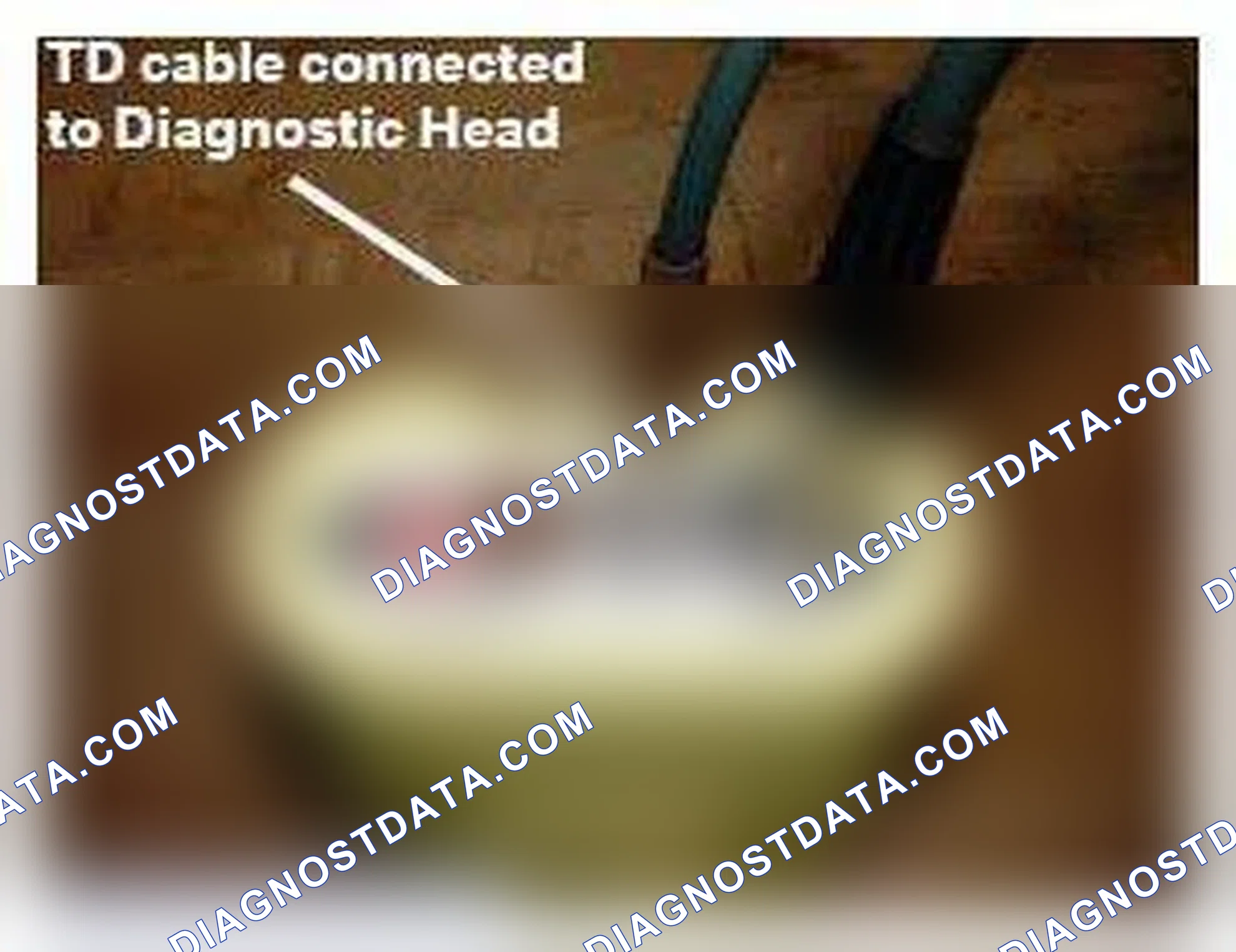 Scheme 16: TD (RPM input) Cable