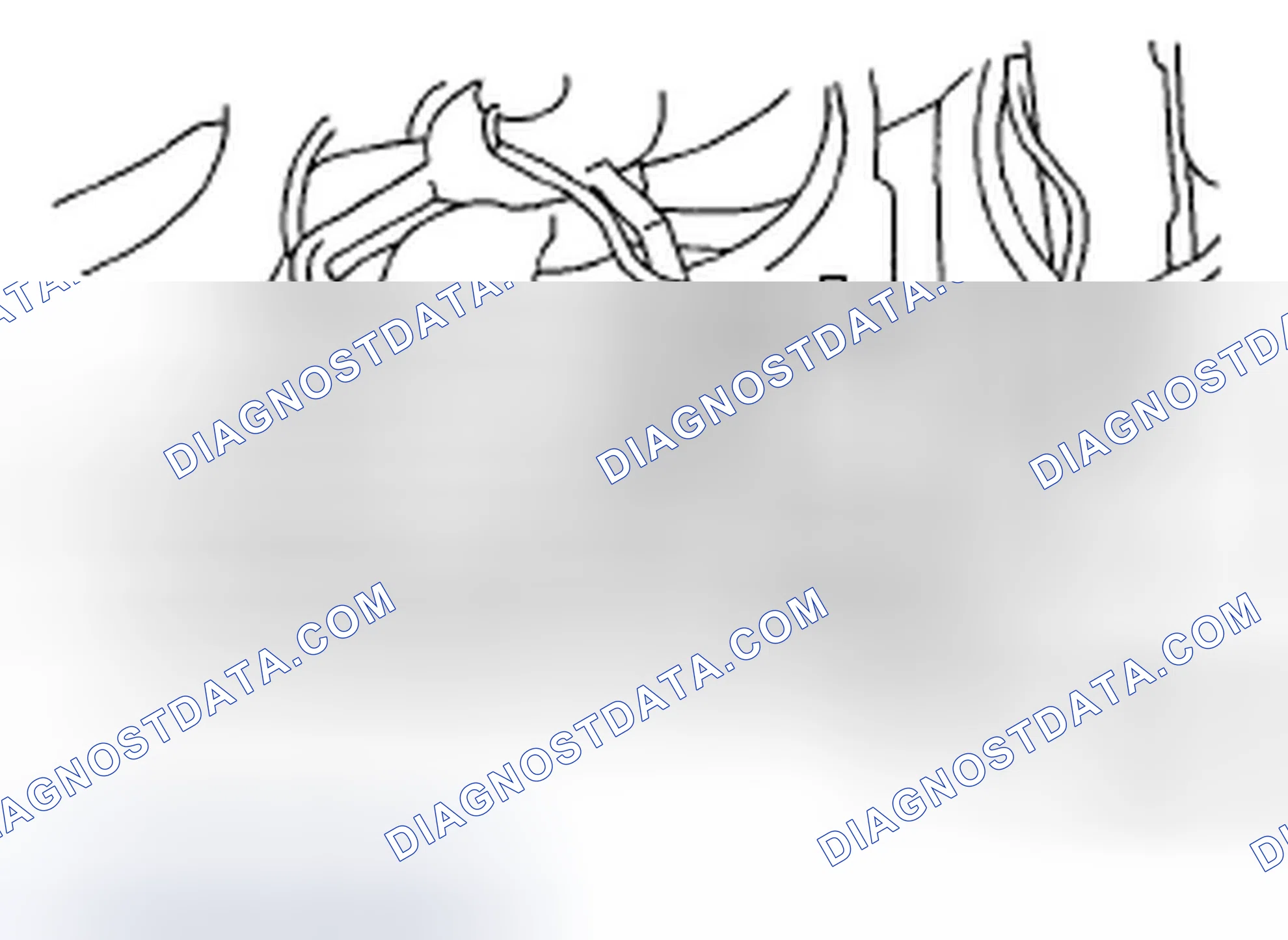 Scheme 47: DRAINING OF ENGINE COOLANT