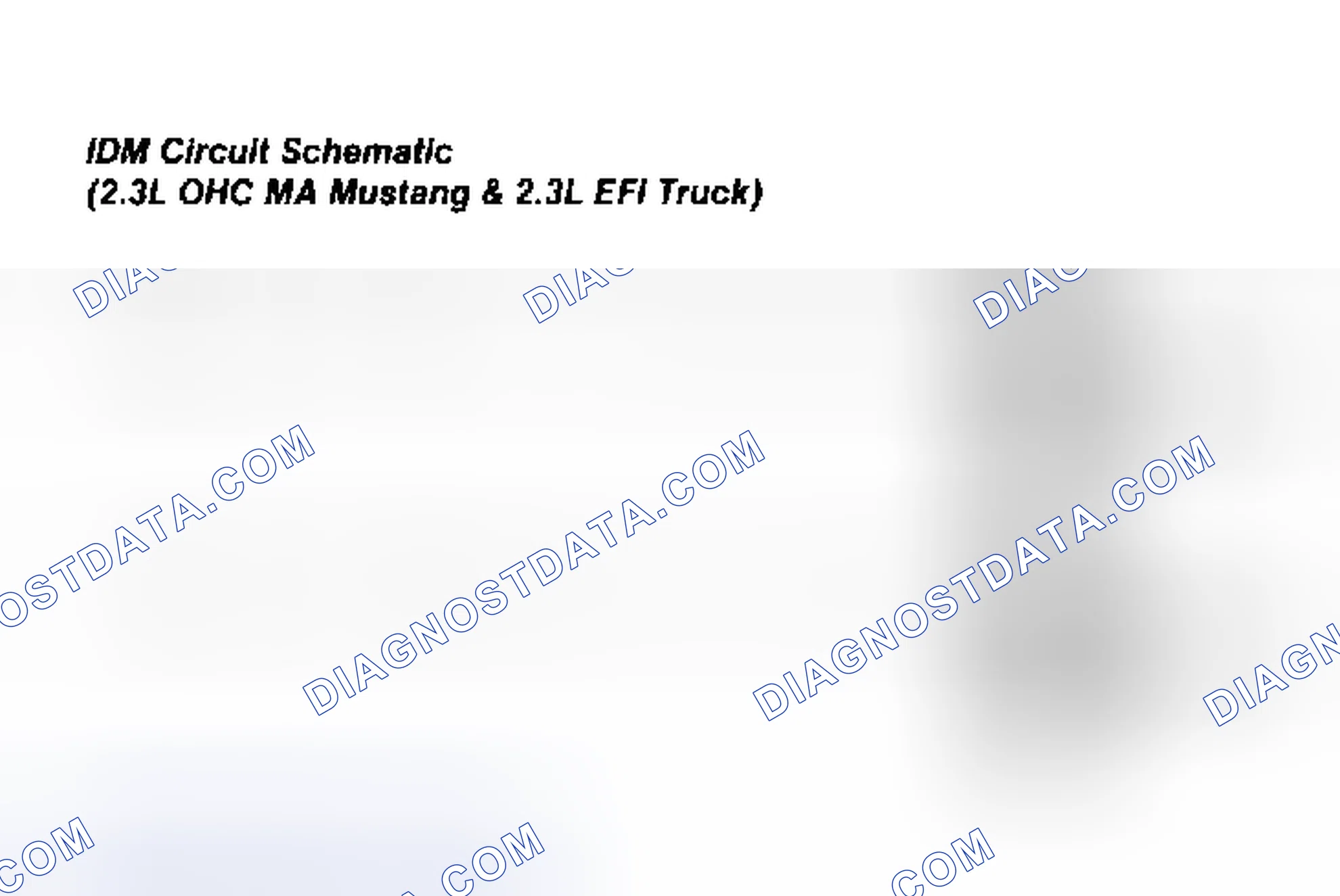 Scheme 100: IDM Circuit Schematic (Mustang 2.3L)