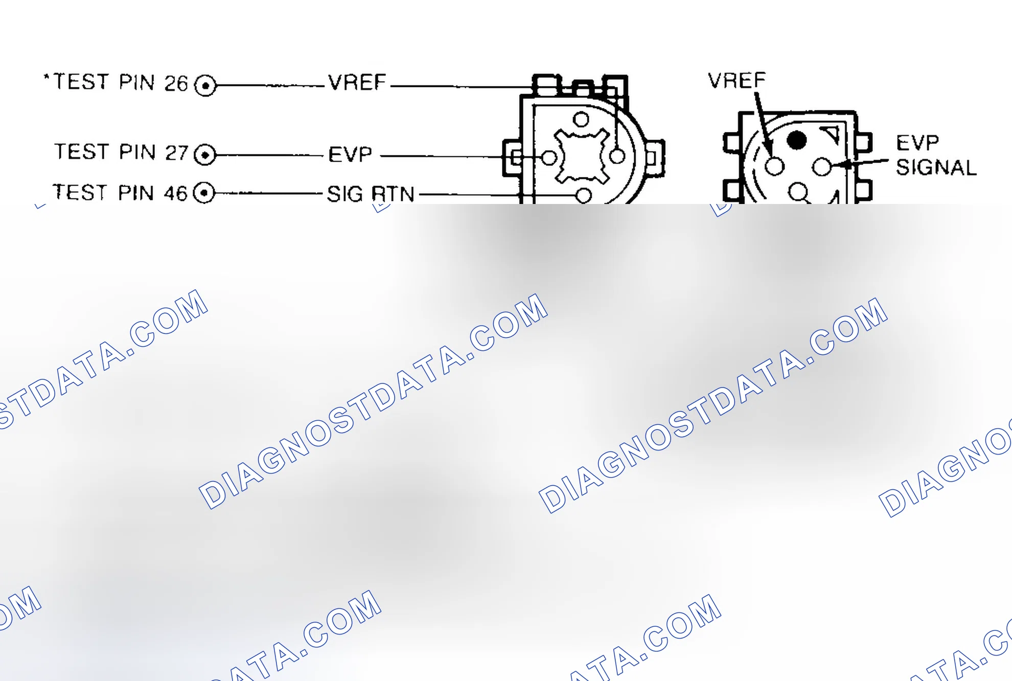 Scheme 38: Identifying EVP Sensor & EVR Solenoid Connector Terminals