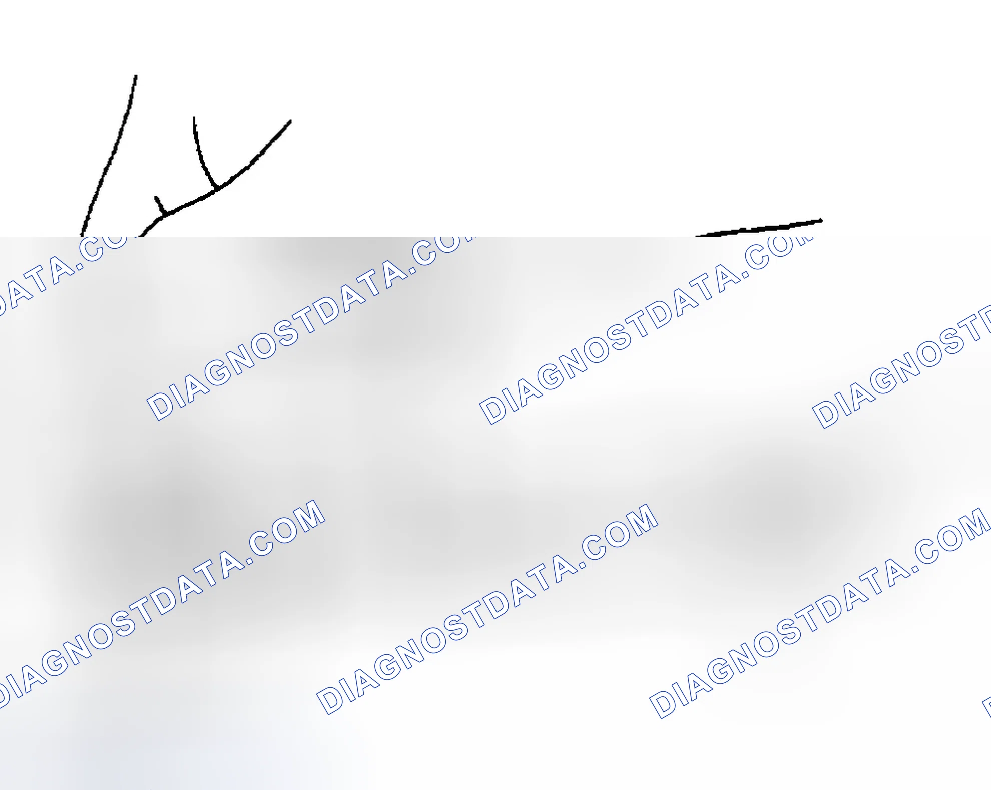 Scheme 221: Valve Lifter Clearance