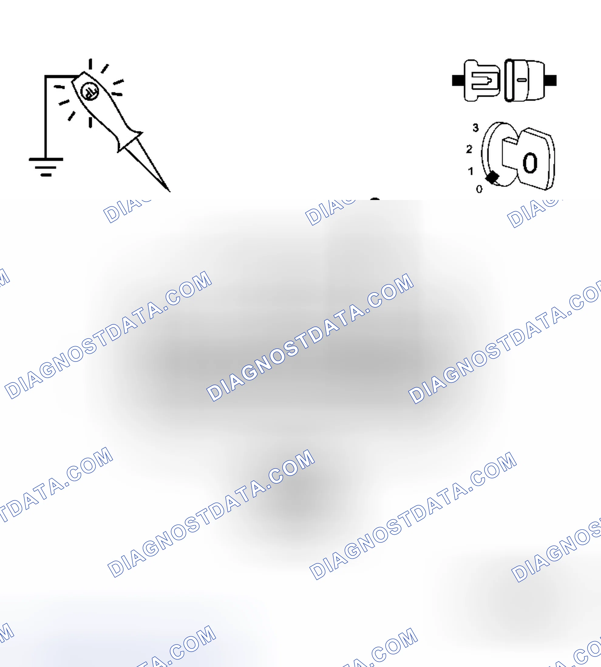 Scheme 43: Diagnostic Test