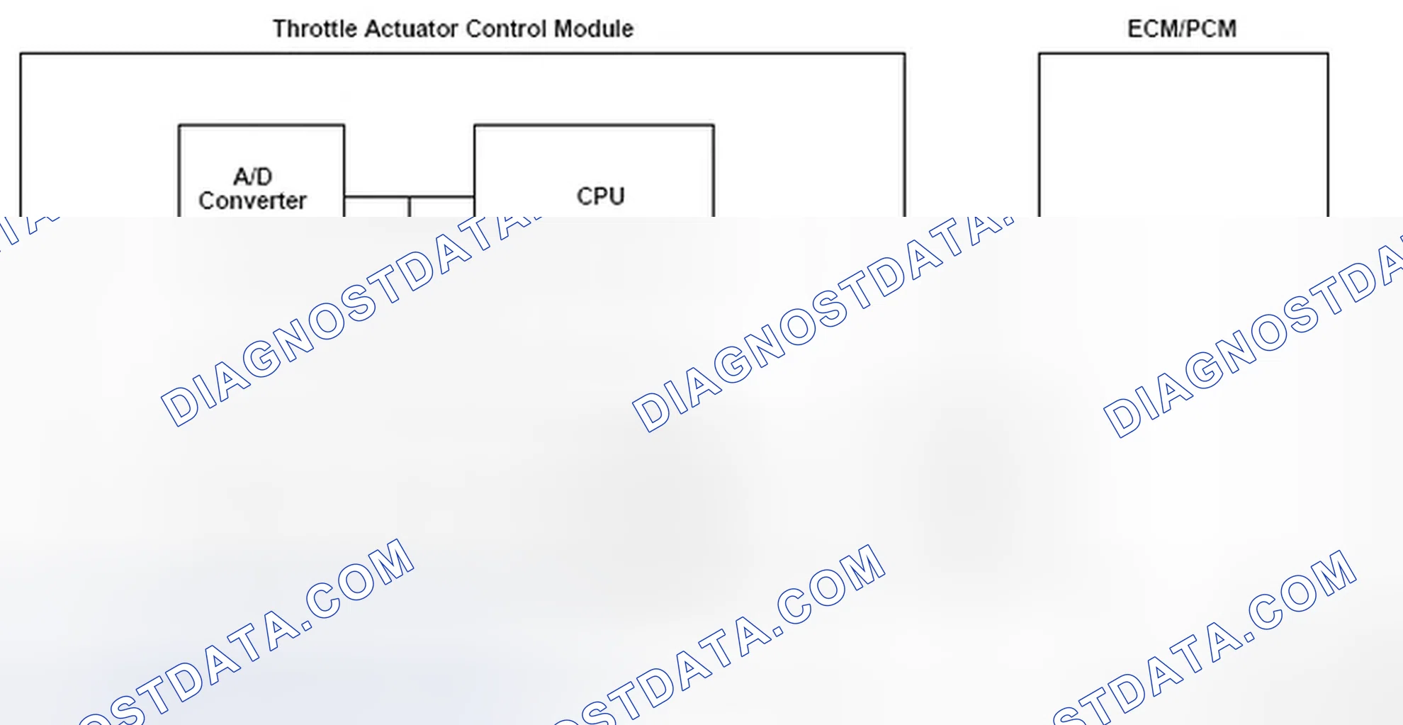 Scheme 143: Communication Diagram Between Throttle Actuator Control Module And ECM/PCM