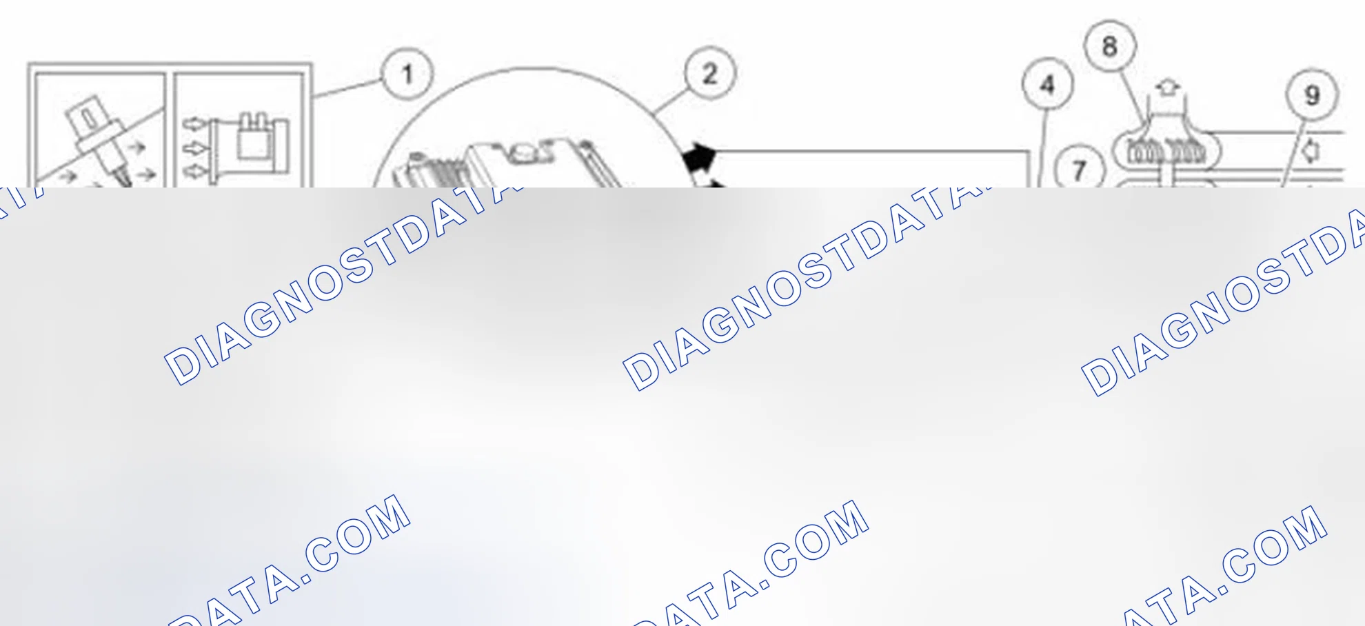 Scheme 79: Enhanced Evaporative Emission (EVAP) System