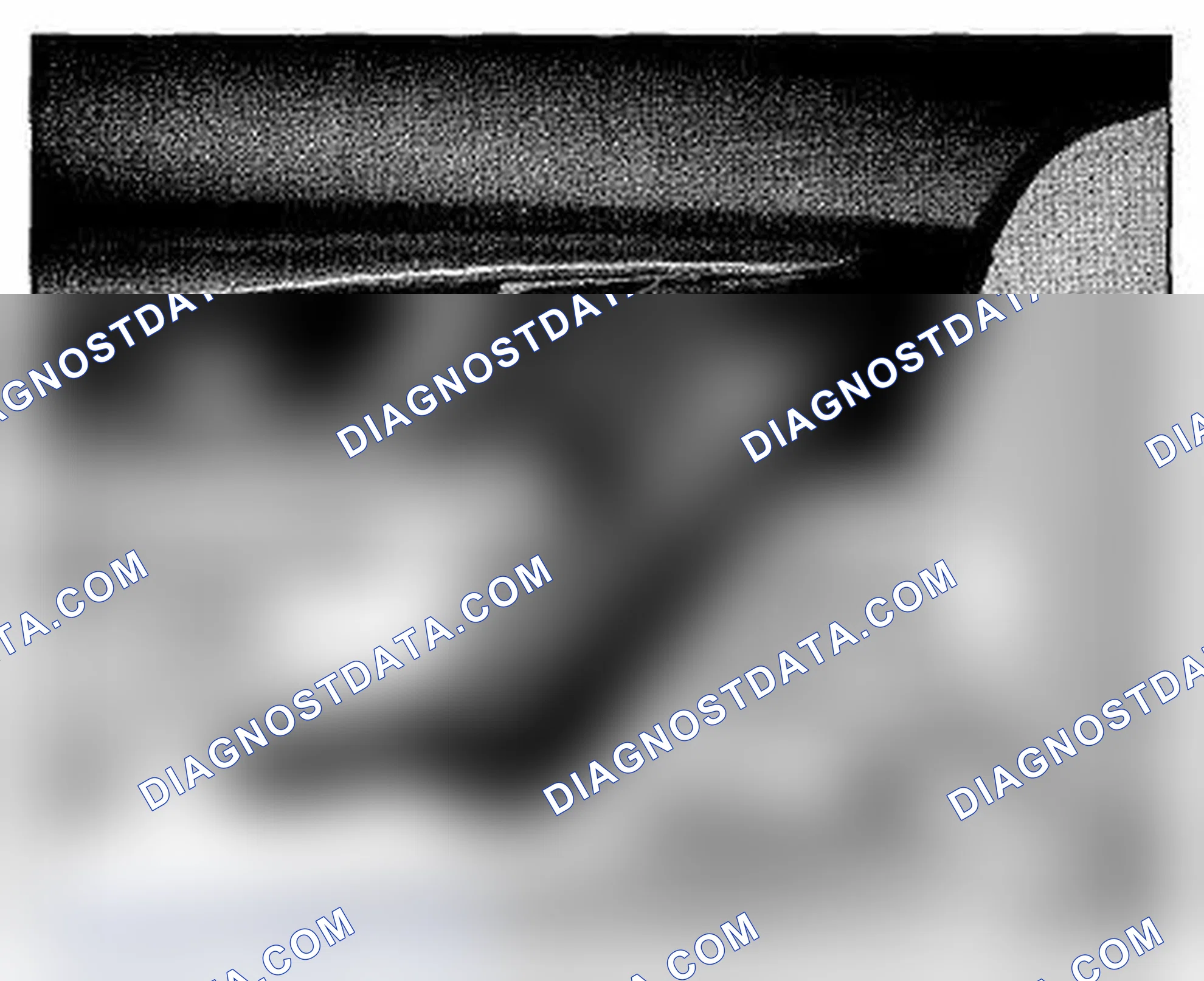 Scheme 1138: Driver's Door Component Location (Photo 129)