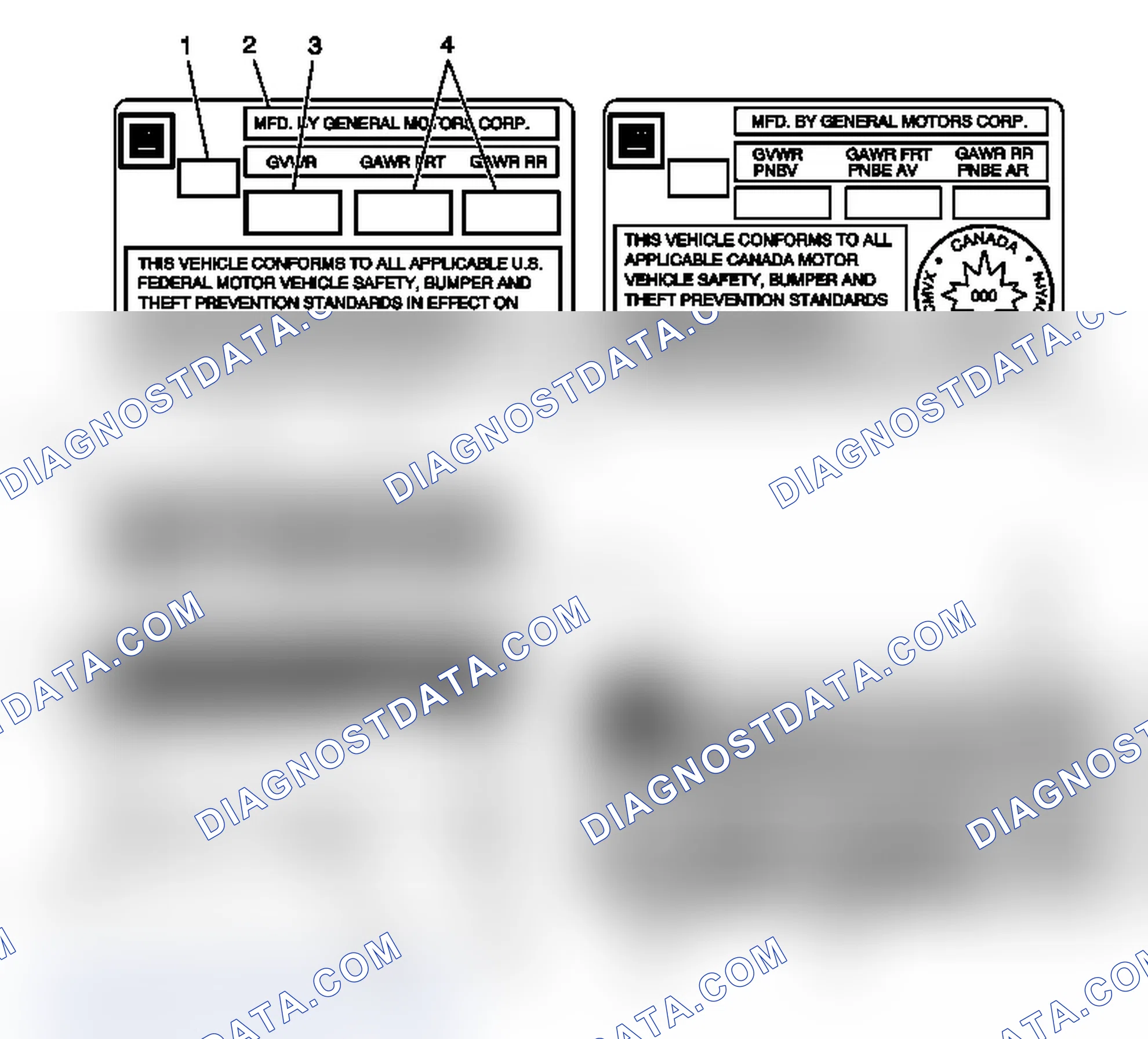Scheme 31: Vehicle Certification, Tire Placard, Anti-Theft, and Service Parts ID Label