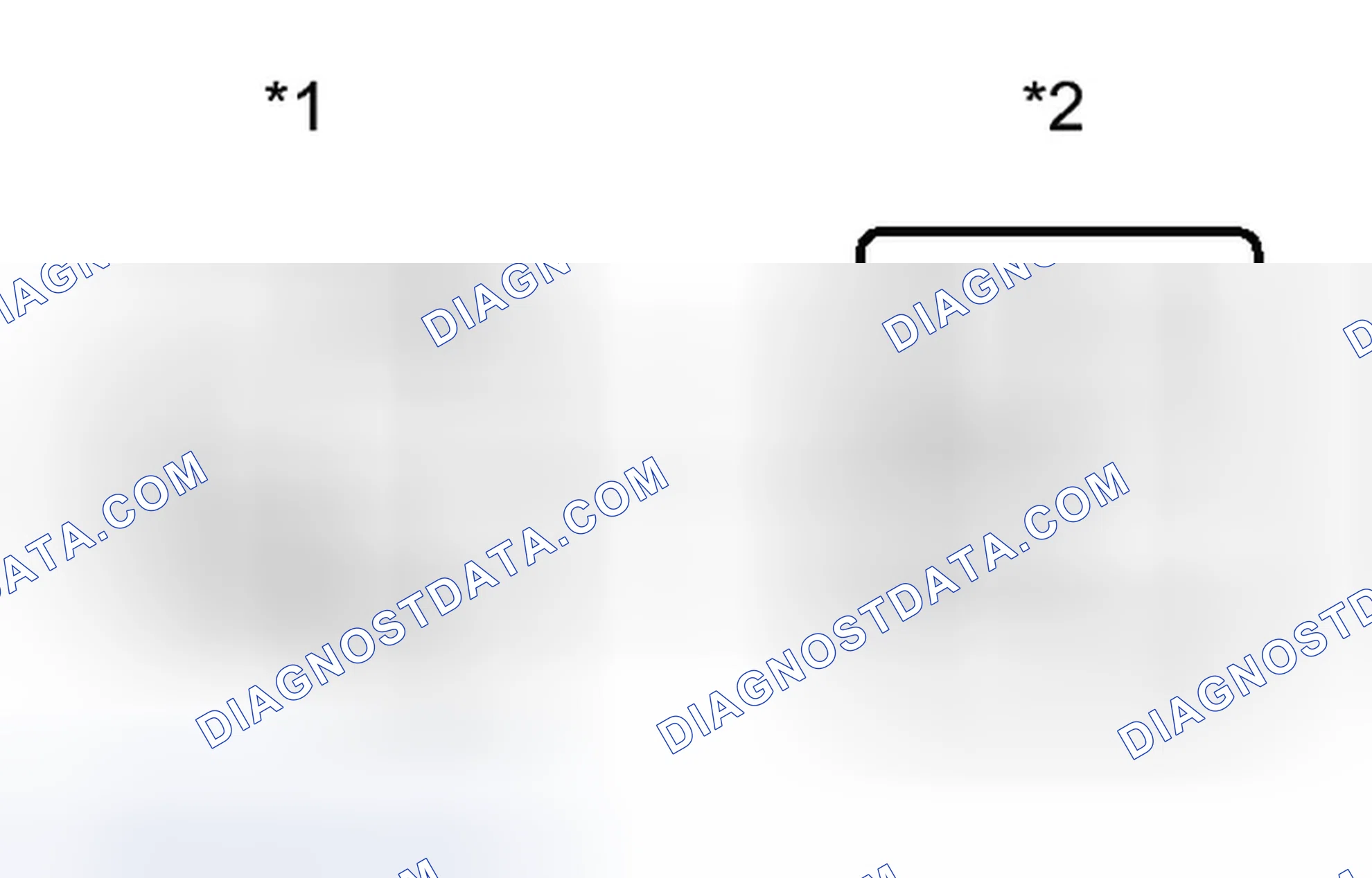 Scheme 319
