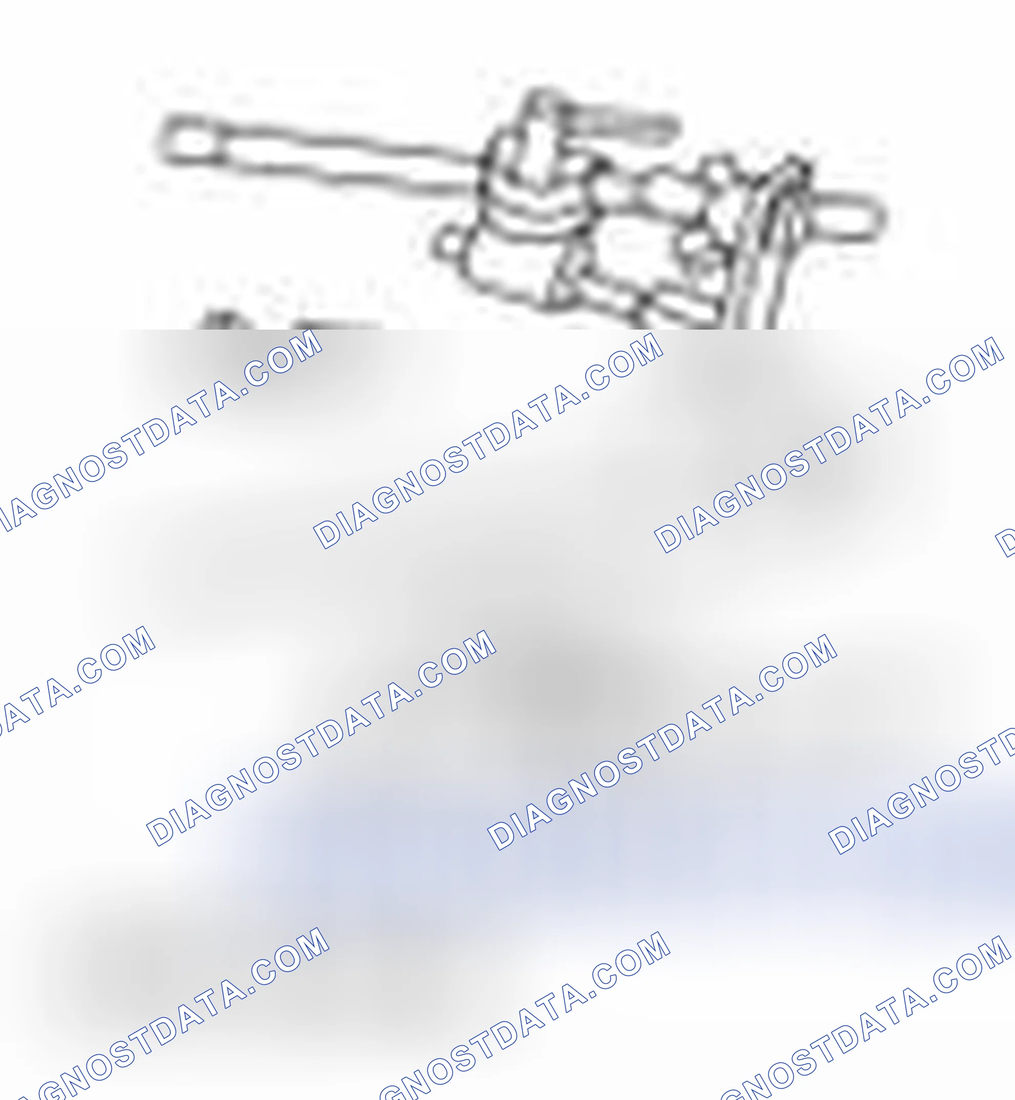 Scheme 2313: Special Tool(s)