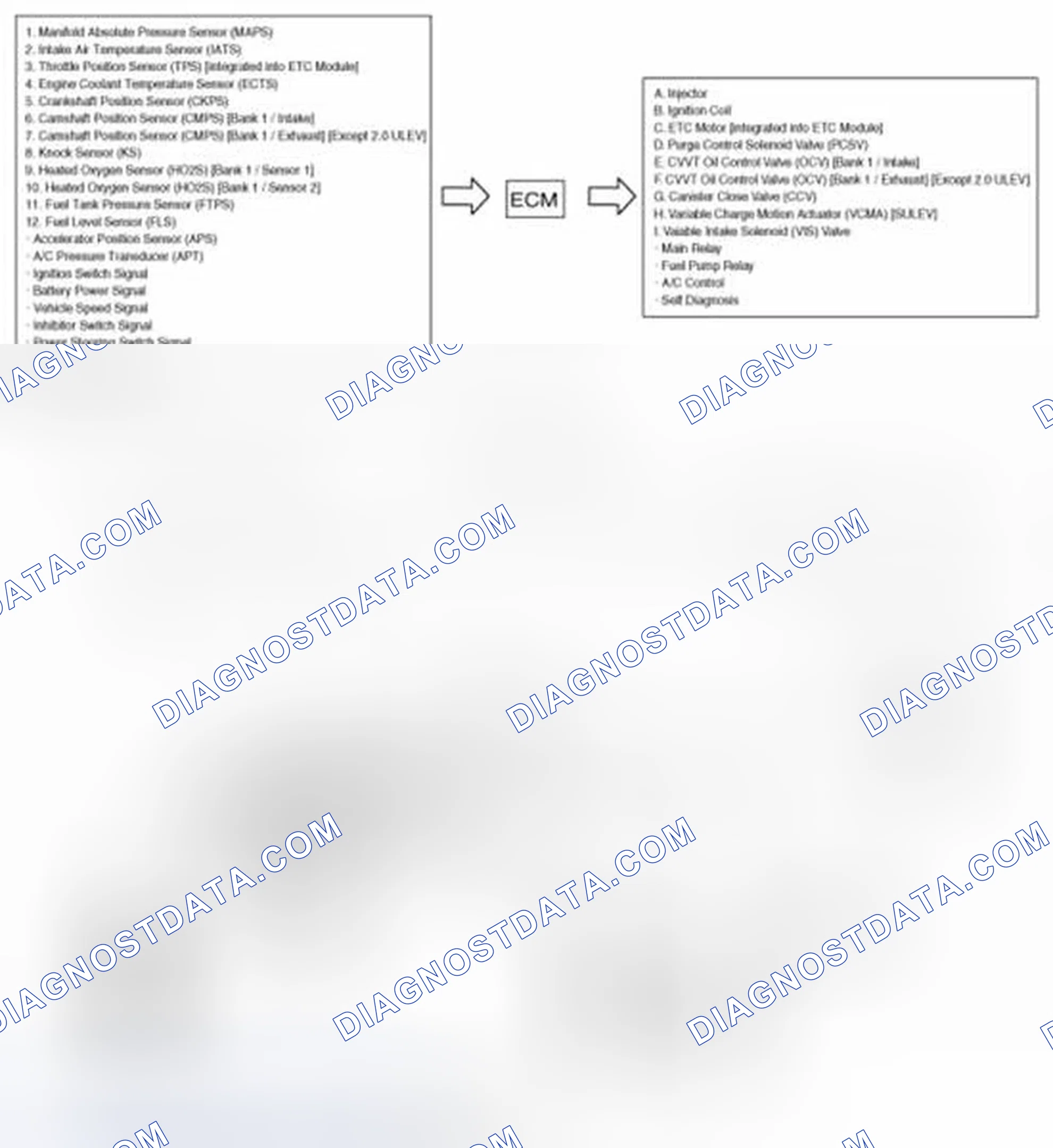 Scheme 1: Schematic Diagram
