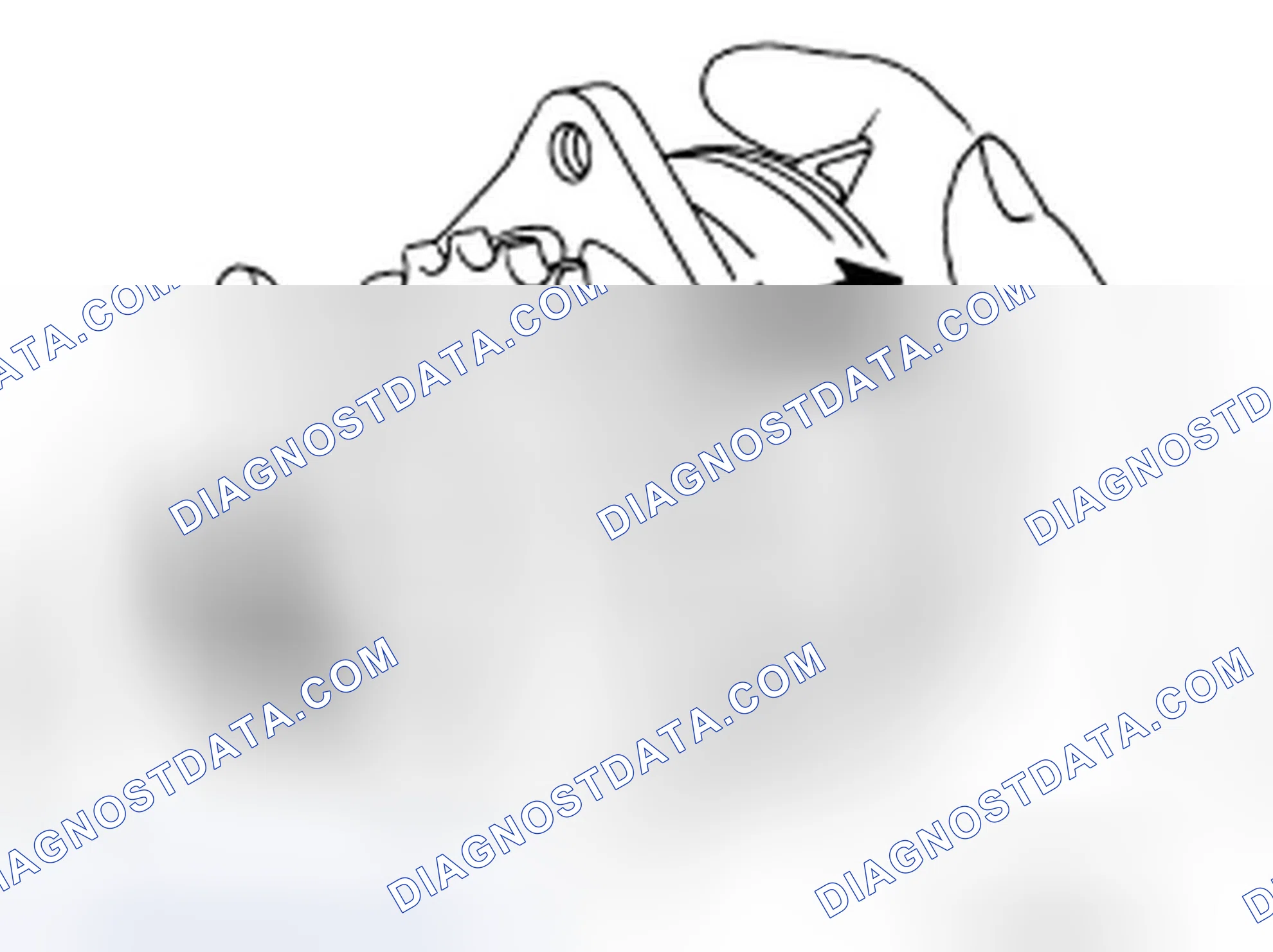 Scheme 19: INSPECTION AFTER REMOVAL