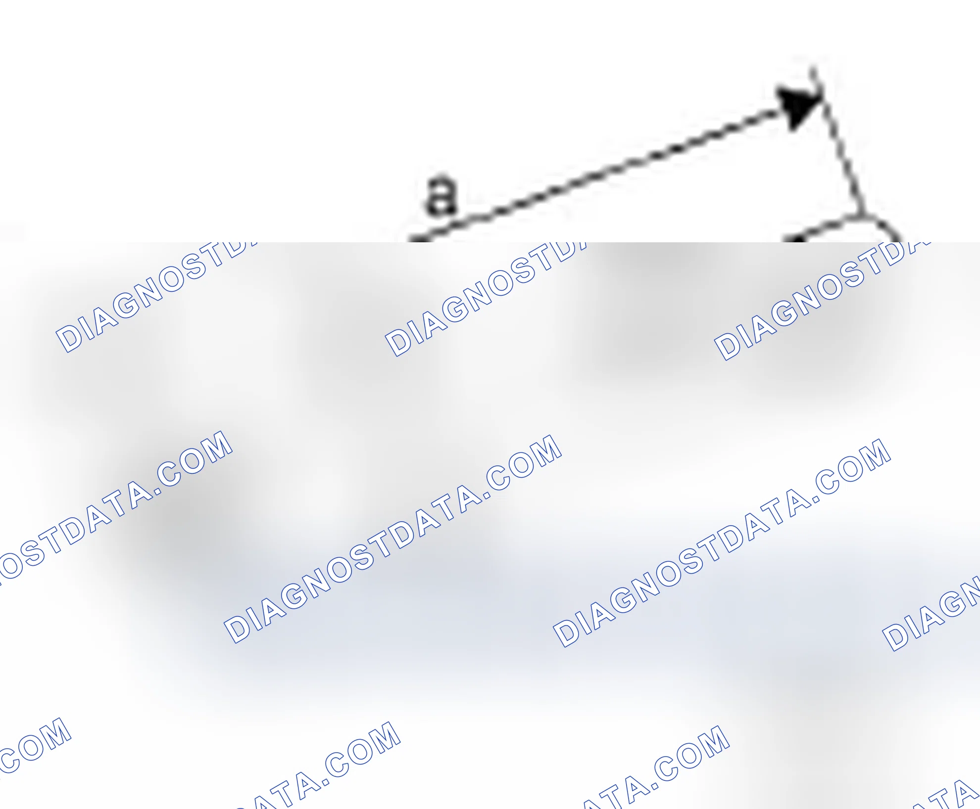 Scheme 519